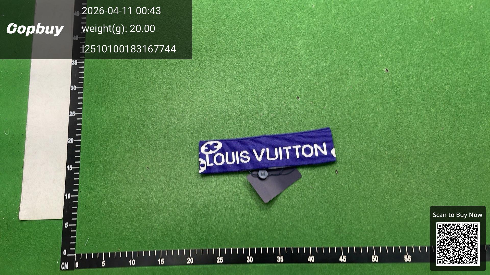 Foto QC 2 de Louis Vuitton Logo Headband Blue