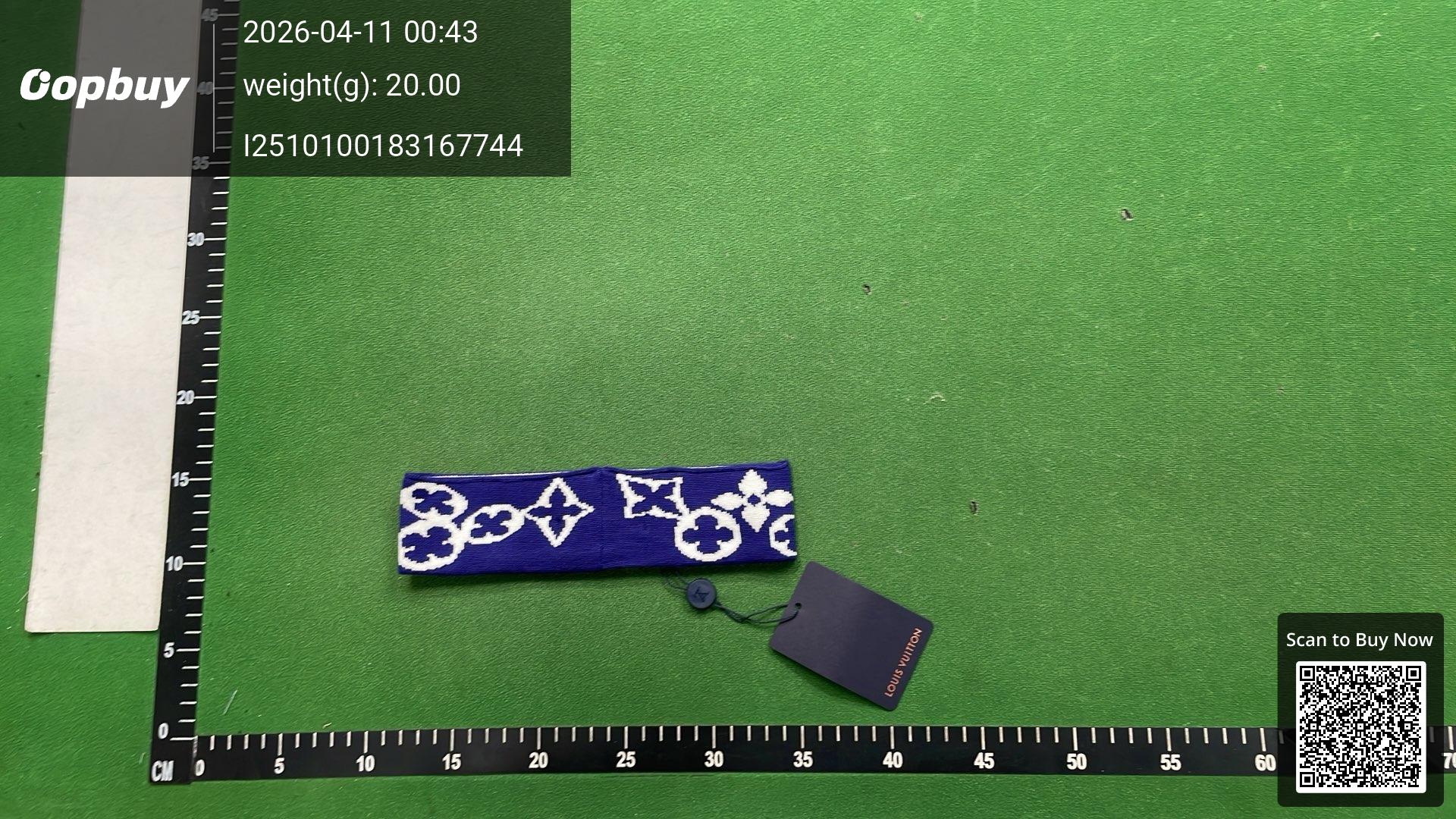 Foto QC 3 de Louis Vuitton Logo Headband Blue