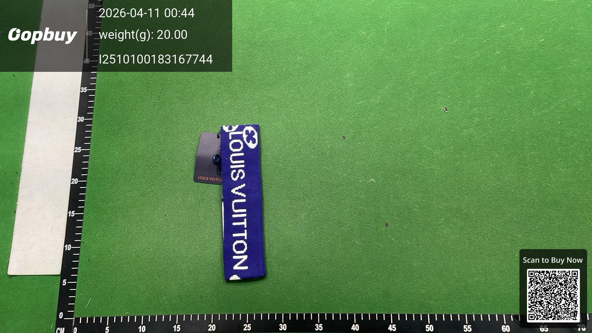 Foto QC 5 de Louis Vuitton Logo Headband Blue
