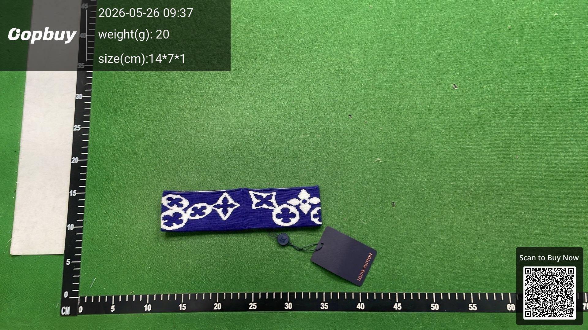 Foto QC 4 de Louis Vuitton Logo Headband Blue