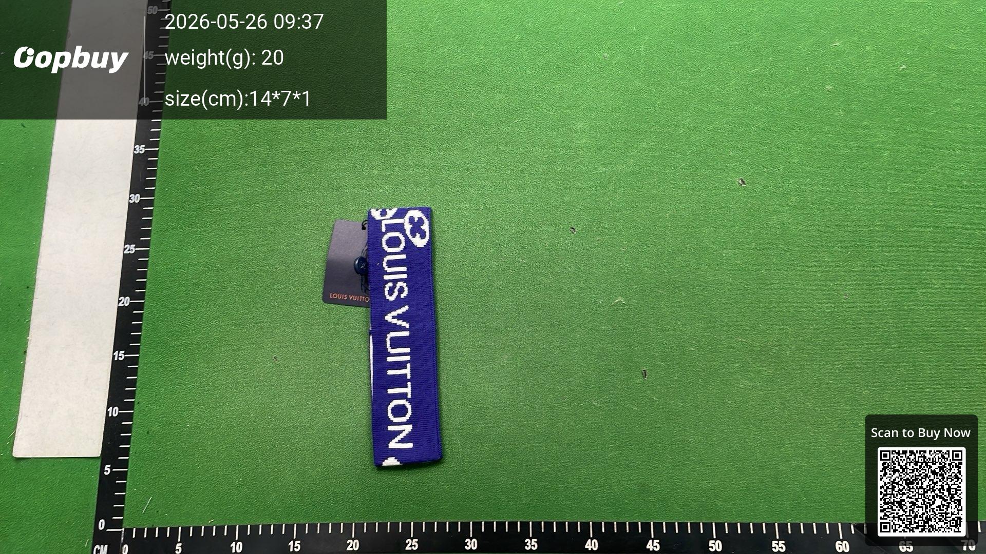 Foto QC 6 de Louis Vuitton Logo Headband Blue