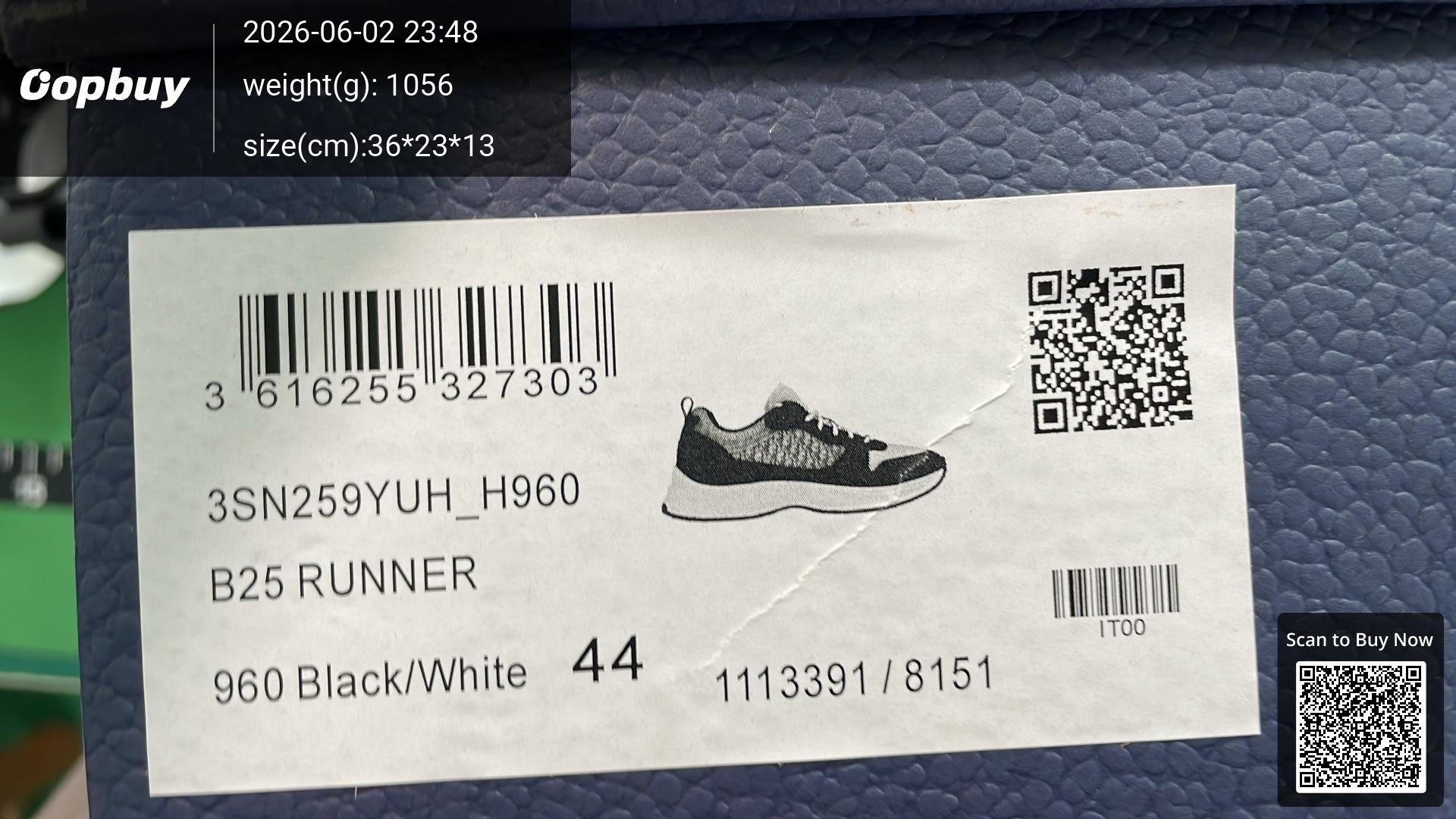 Foto QC 8 de Dior B25 Low Oblique Black White