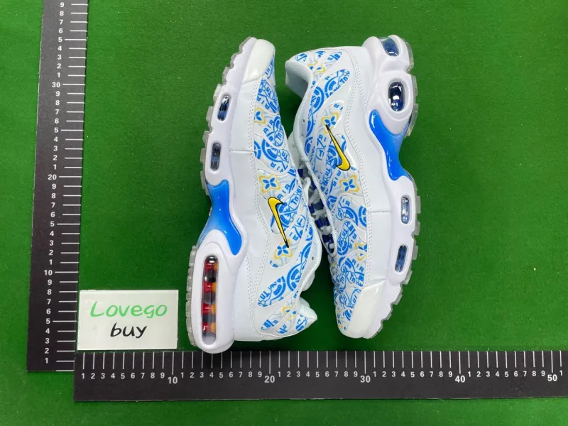 Tn1-white and blue snowflake