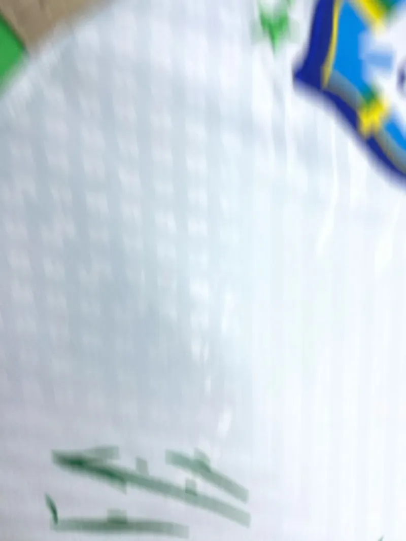 2022 brazilian white bird