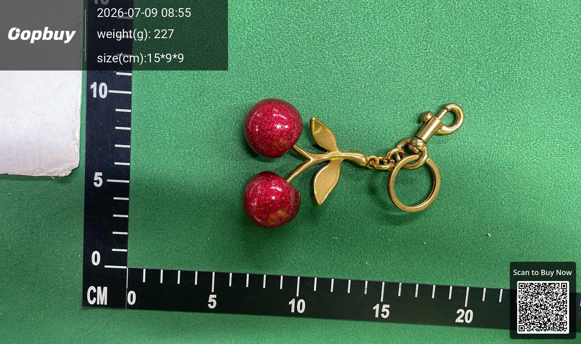 Foto QC 8 de Coach Cherry Key Holder And Bag Charm Pink