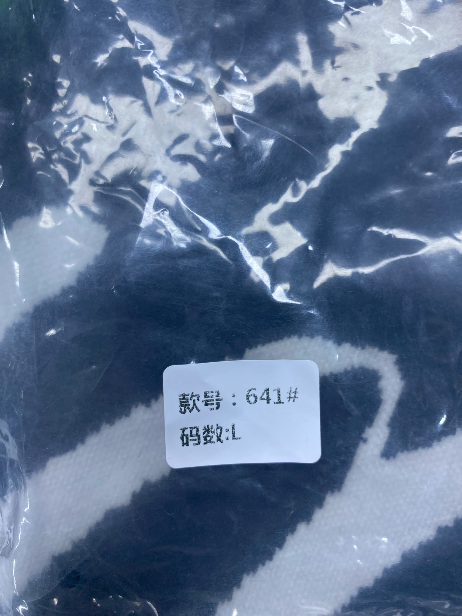 Foto QC 7 de Rhude Logo Basketball Swim Shorts Forest Green