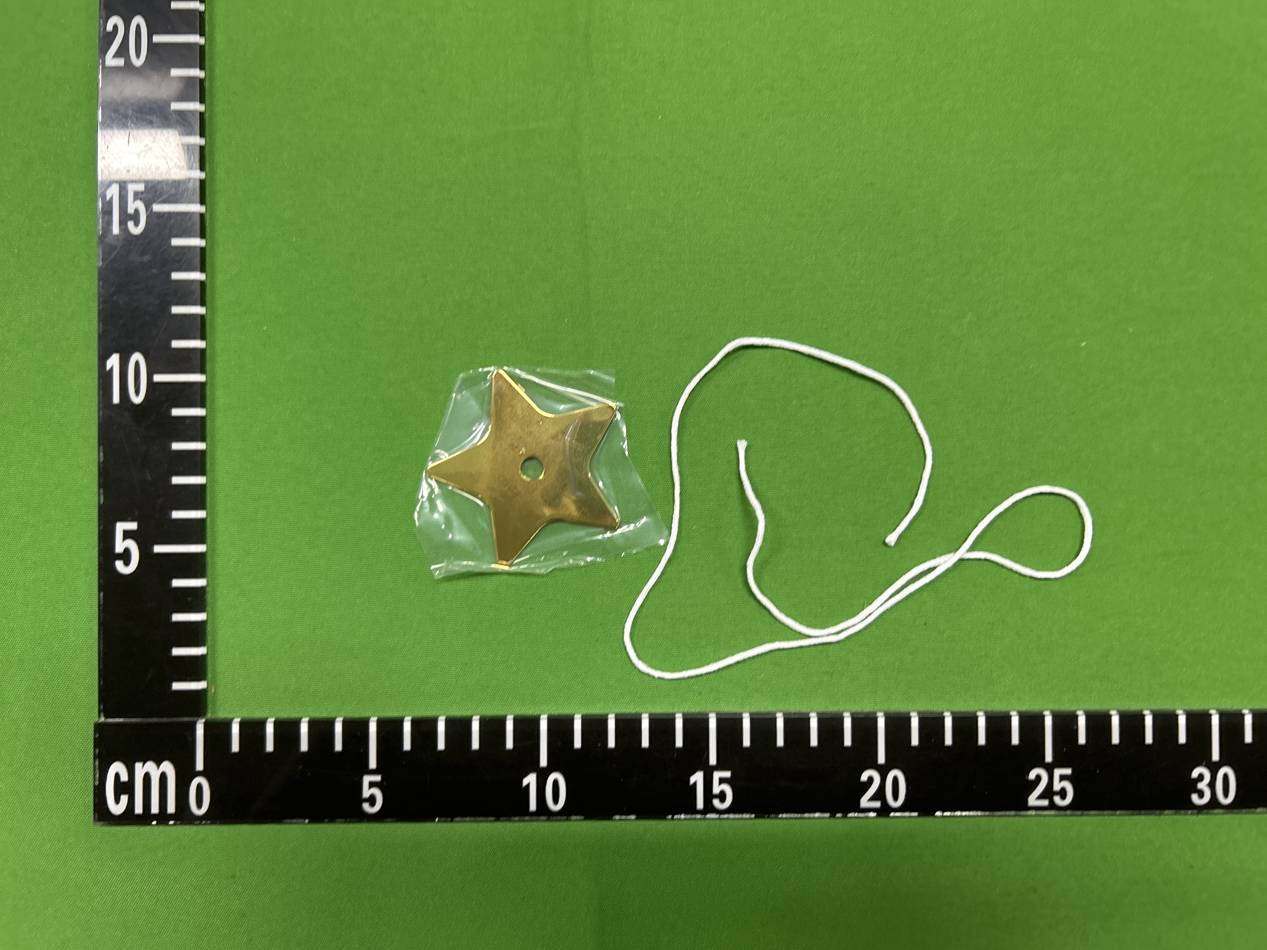 Foto QC 2 de Chanel Camellia Decoration Gold