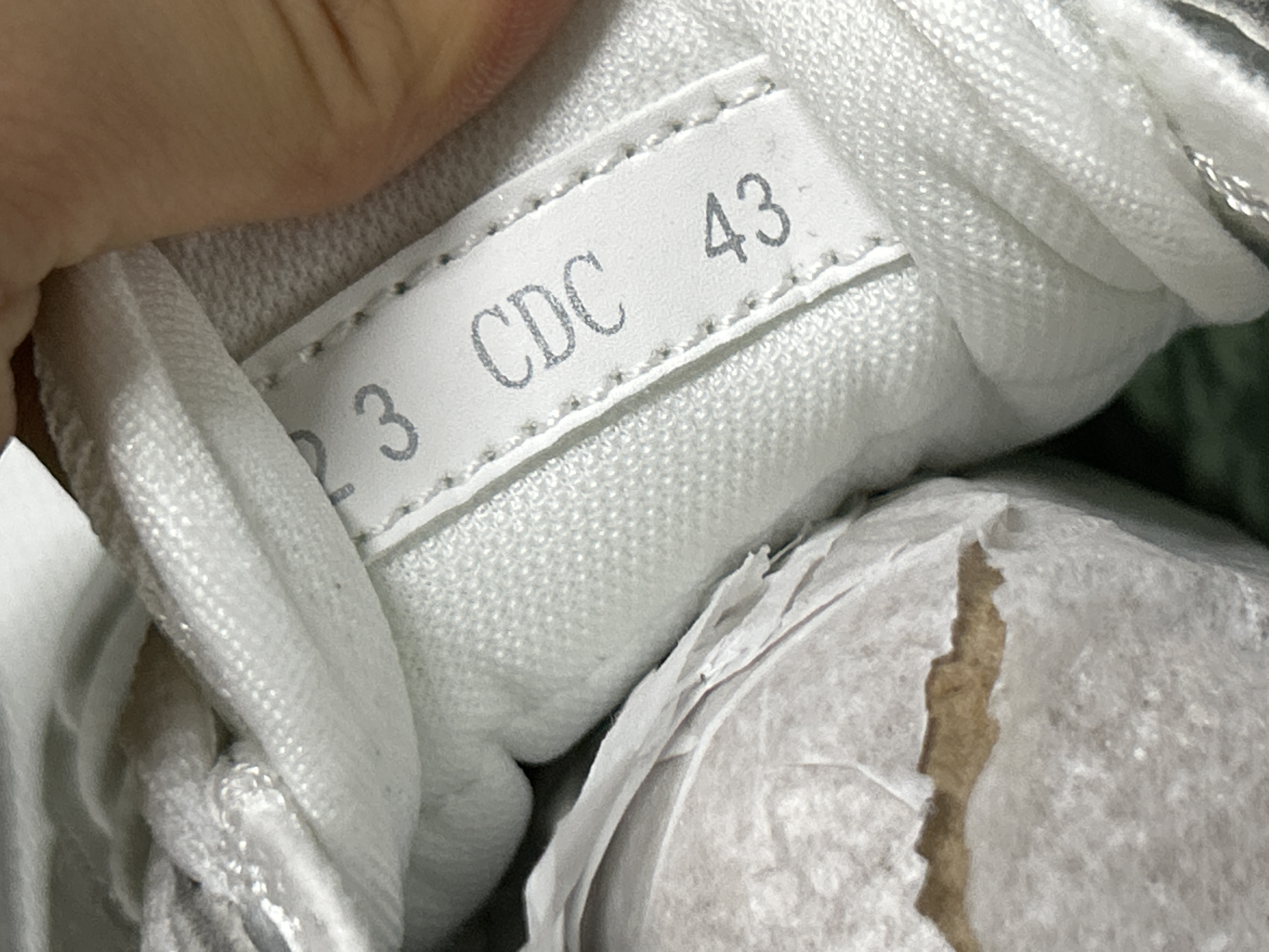 Foto QC 8 de Dior B25 Low Black White Dior Oblique