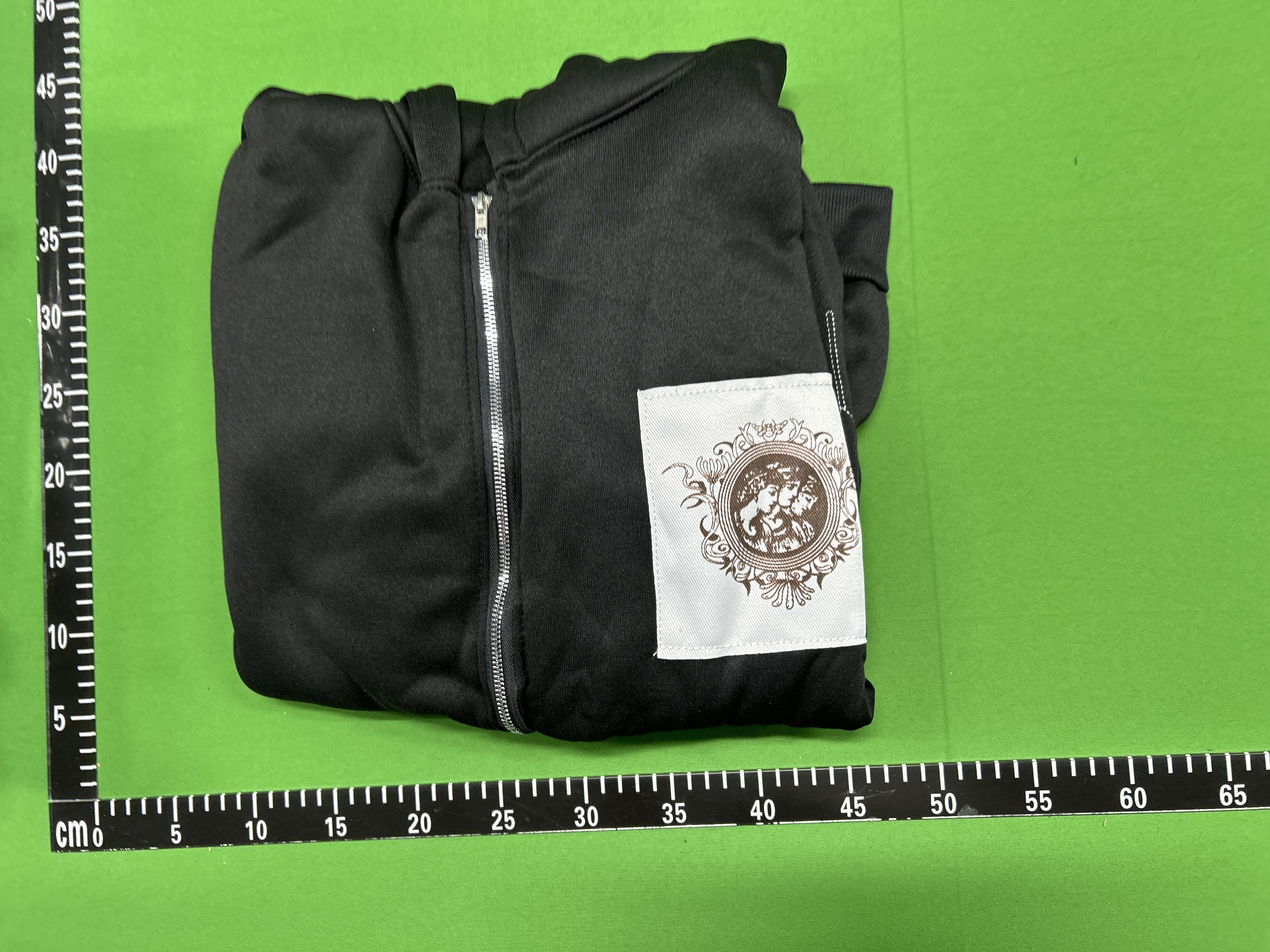 Foto QC 7 de 9OESH Hell in Paradise Wing Embroidery Distressed Zip-Up Hoodie Light Green