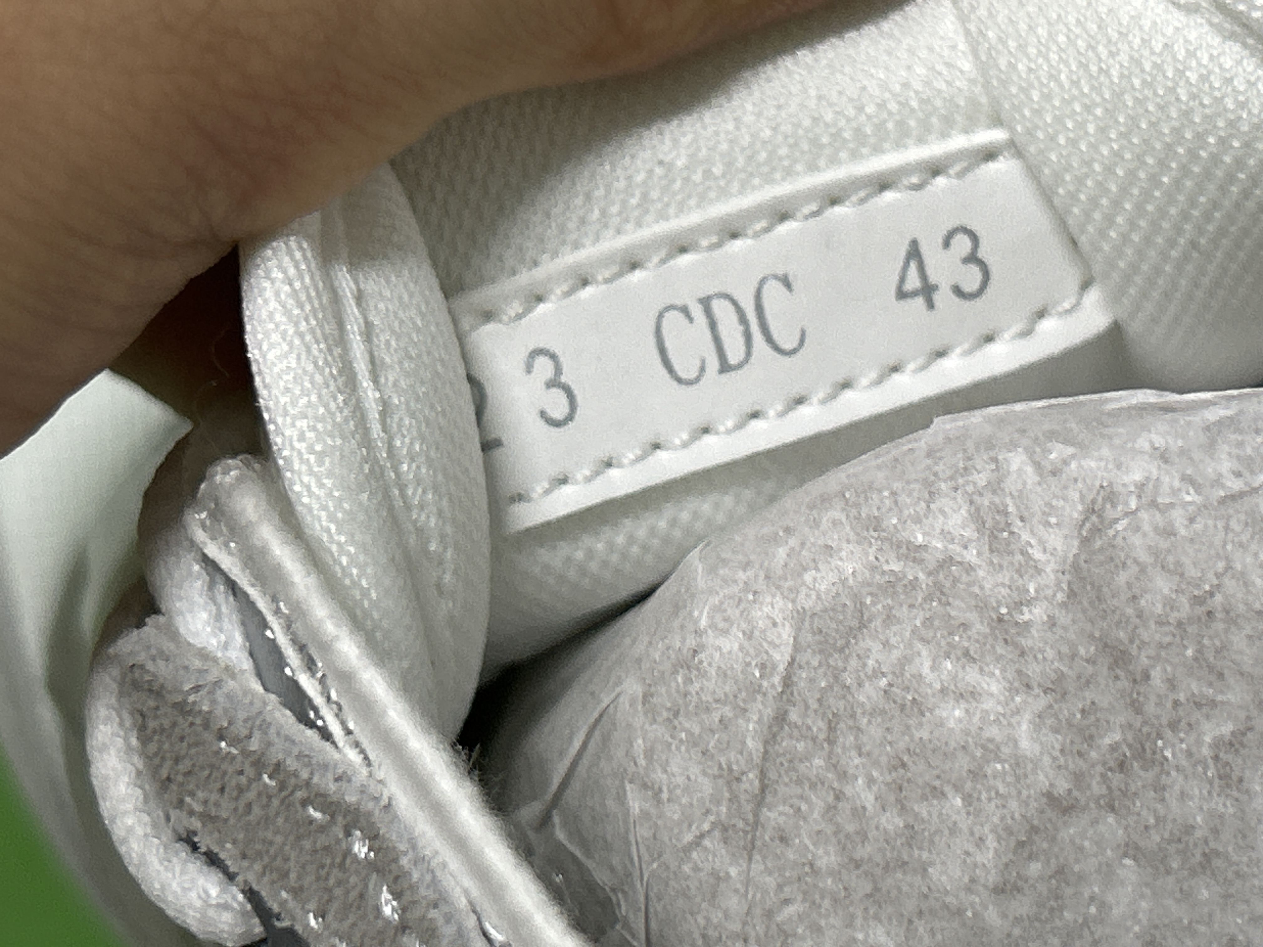Foto QC 7 de Dior B25 Low Black White Dior Oblique