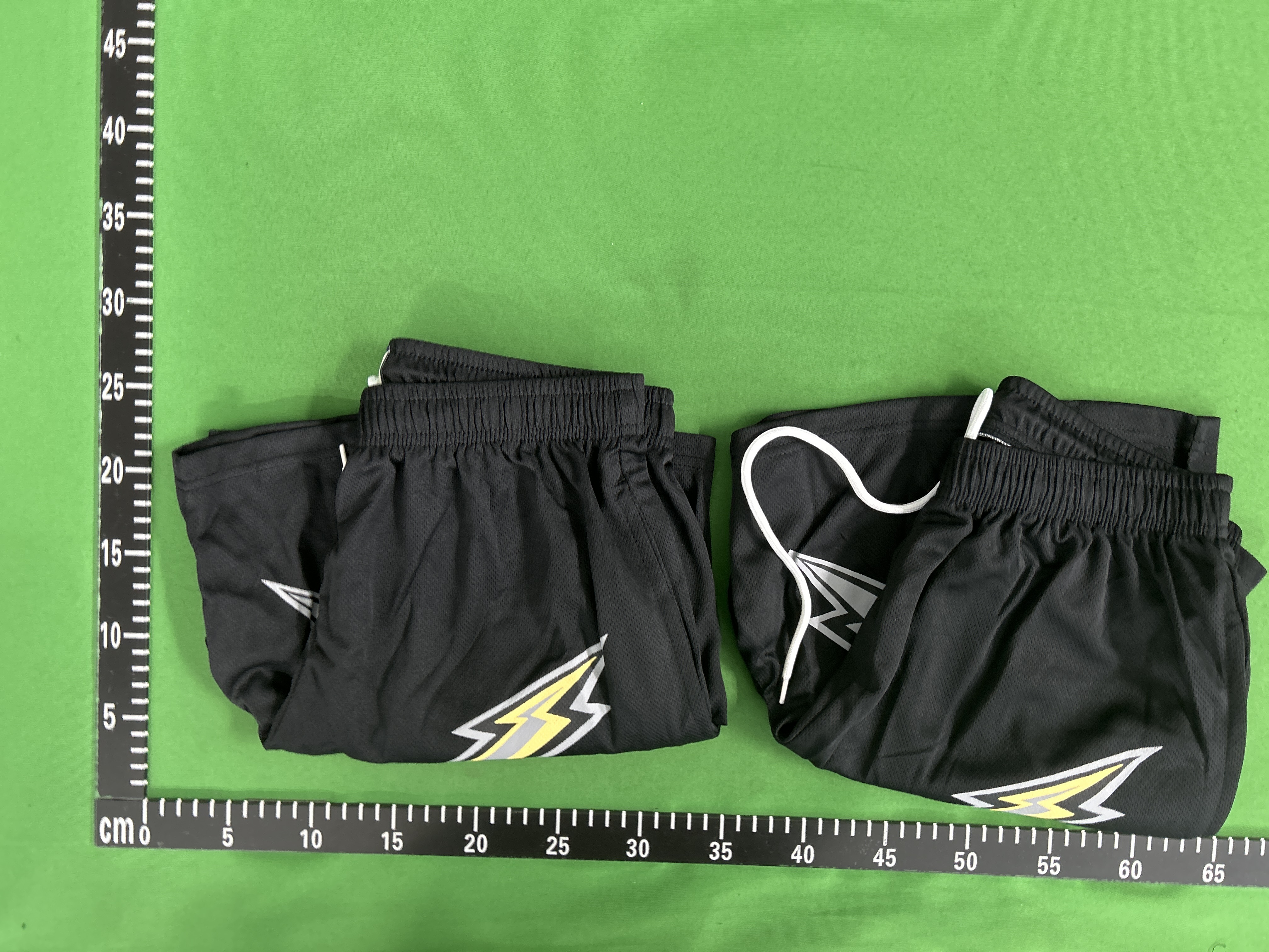 Foto QC 5 de Eric Emanuel EE Basic Shorts EE Bolt Black