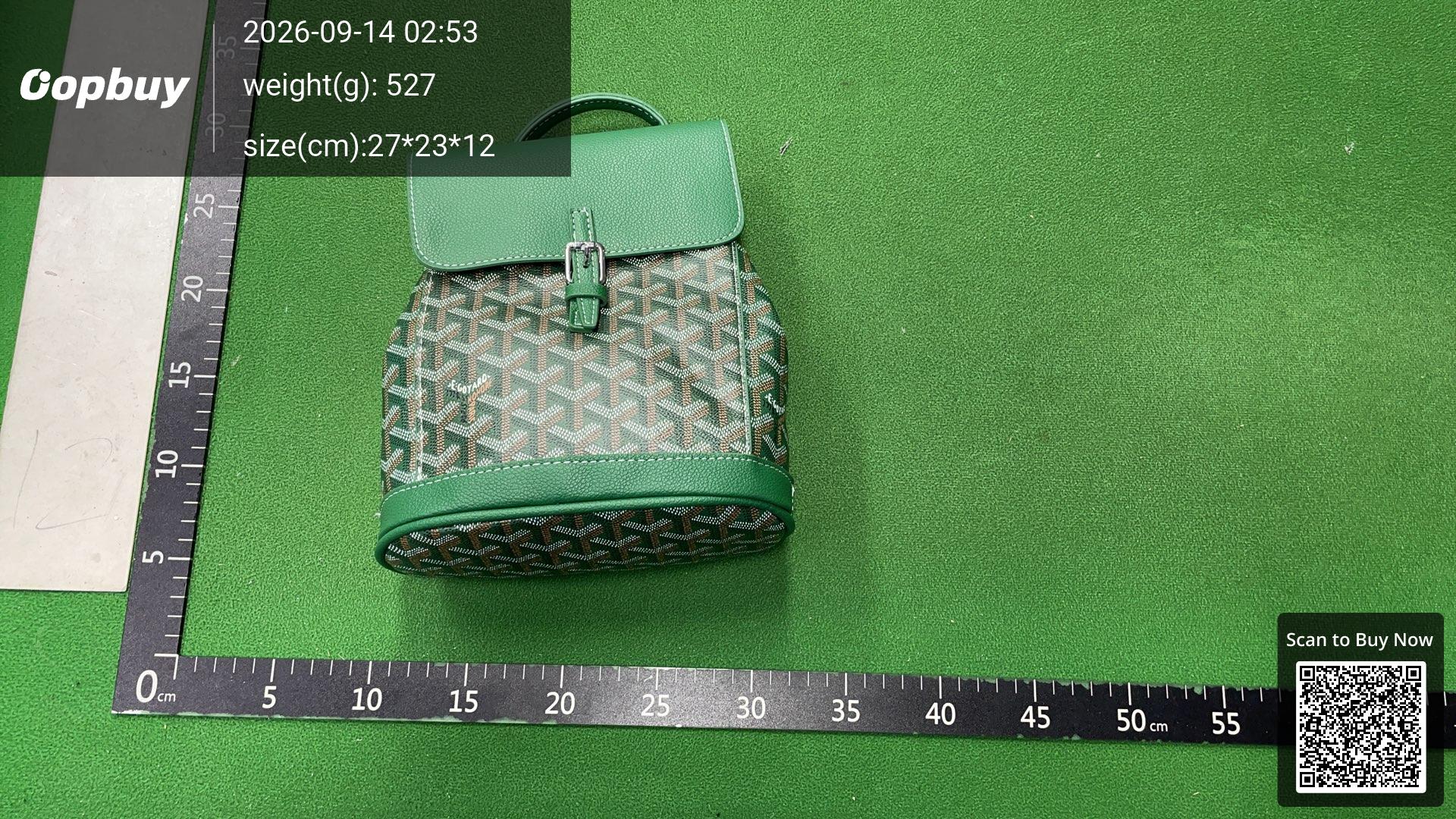 Foto QC 7 de Goyard Alpin Backpack Mini Black Goyardine Canvas