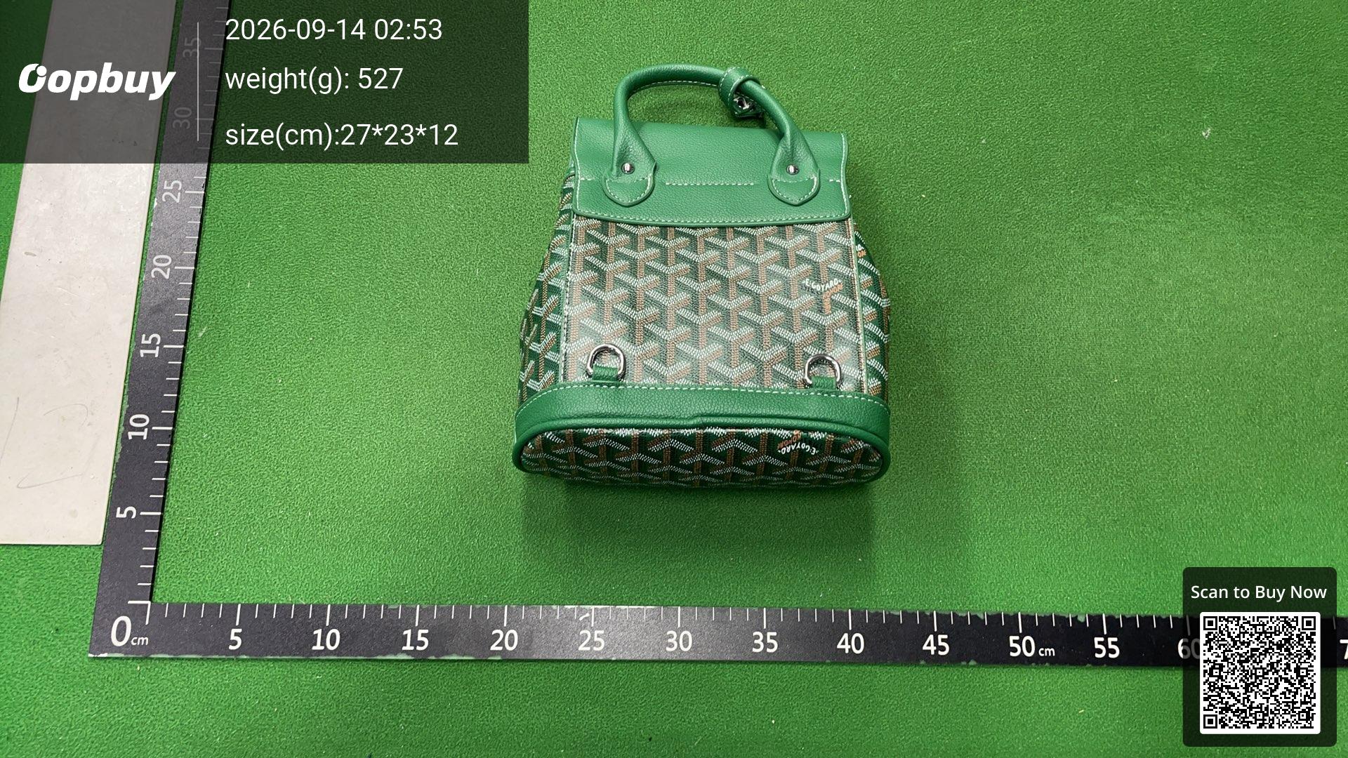 Foto QC 8 de Goyard Alpin Backpack Mini Black Goyardine Canvas