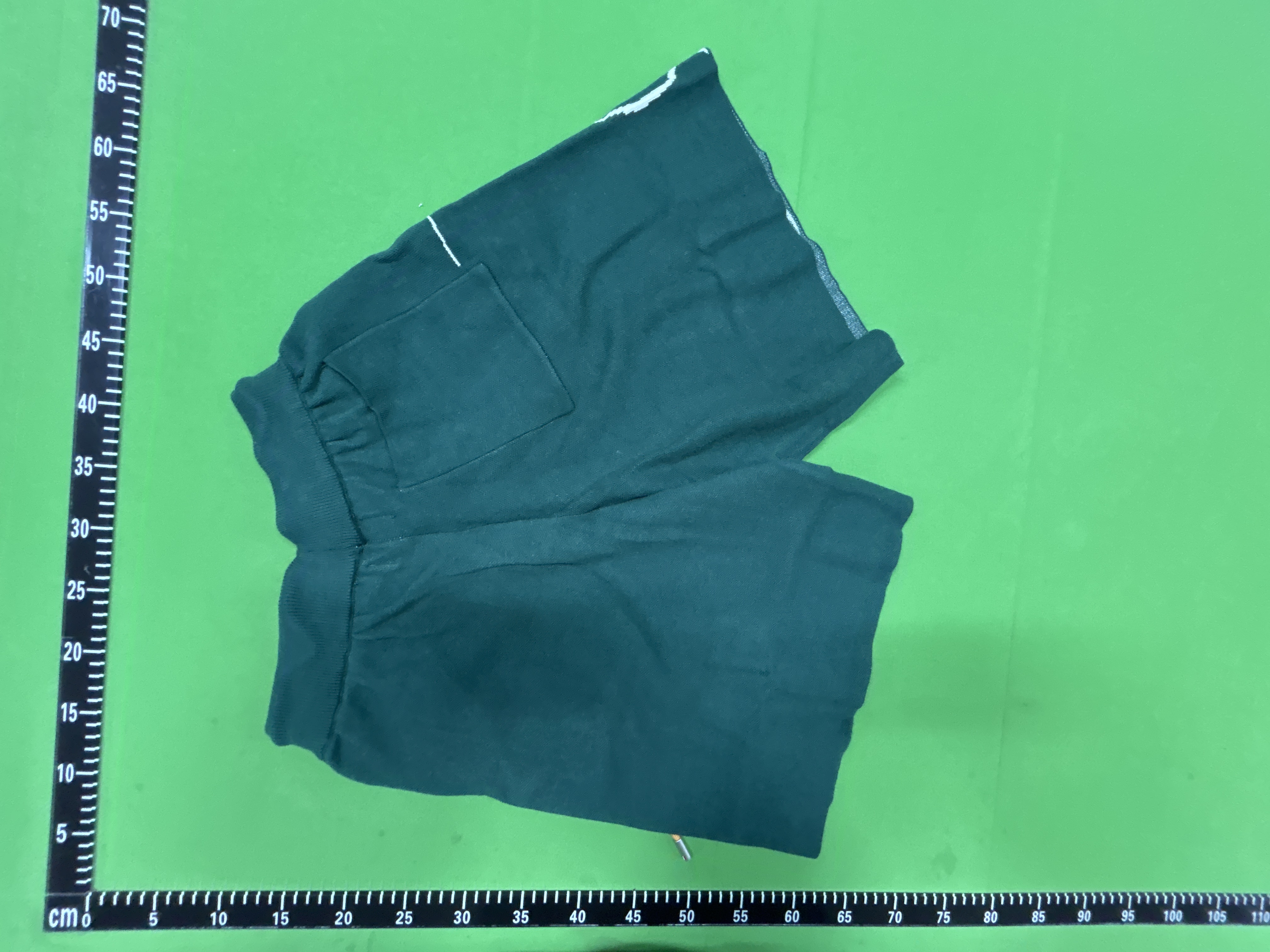 Foto QC 5 de Rhude Logo Basketball Swim Shorts Forest Green