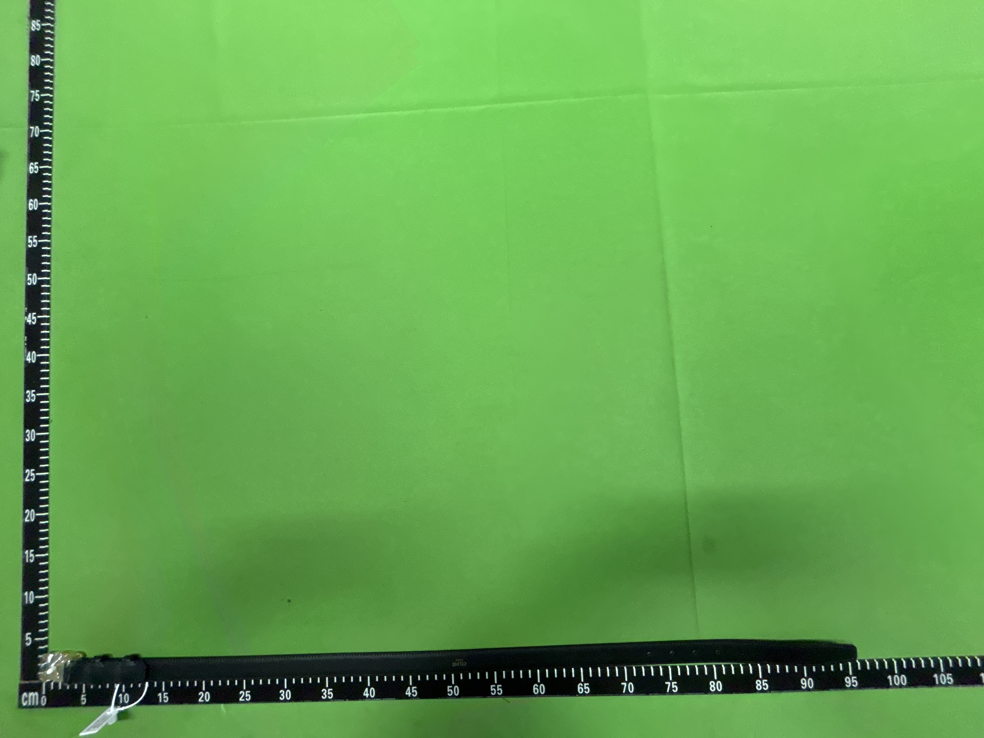 Foto QC 5 de Celine Triomphe Belt Tan