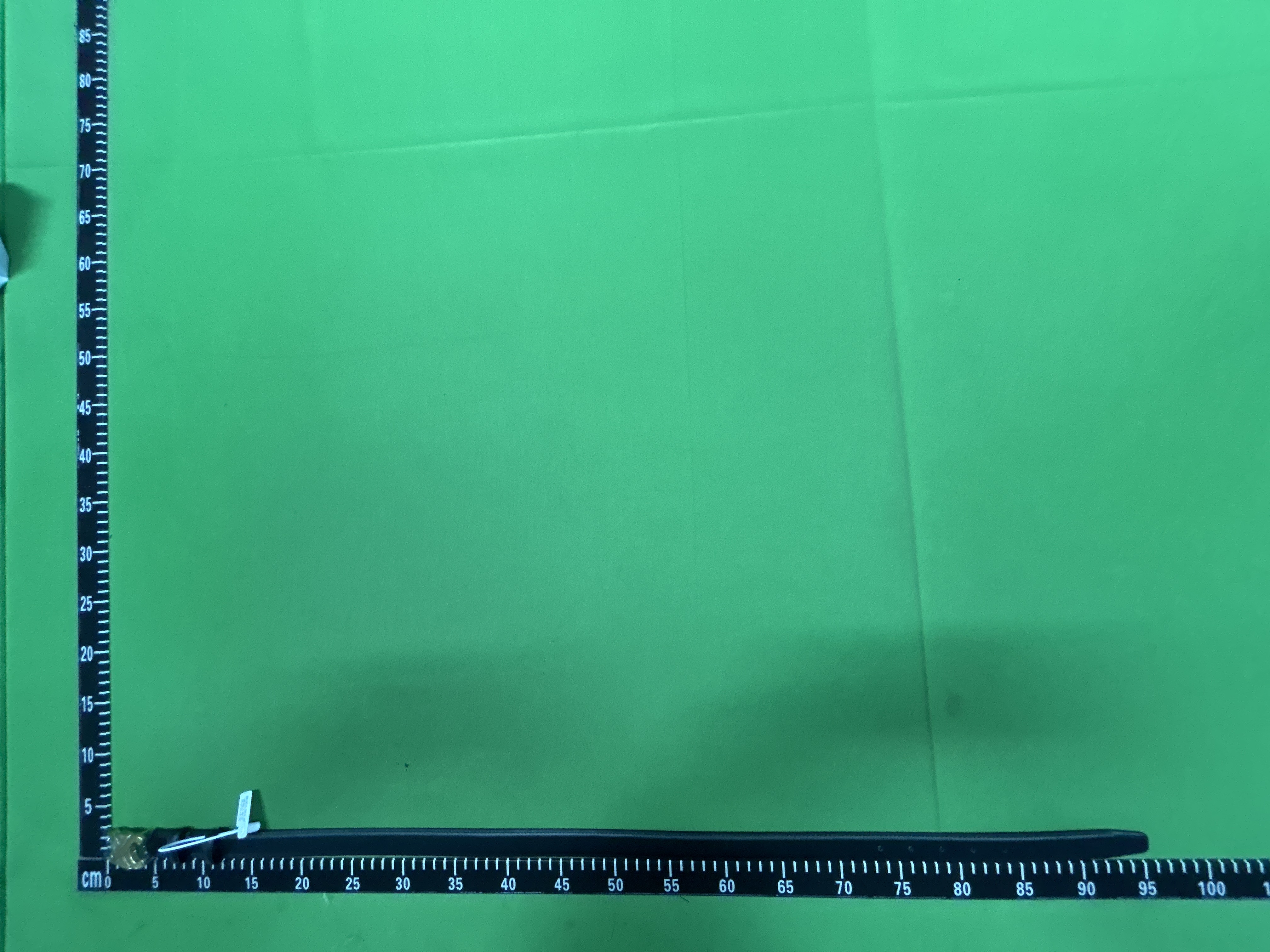 Foto QC 4 de Celine Triomphe Belt Tan