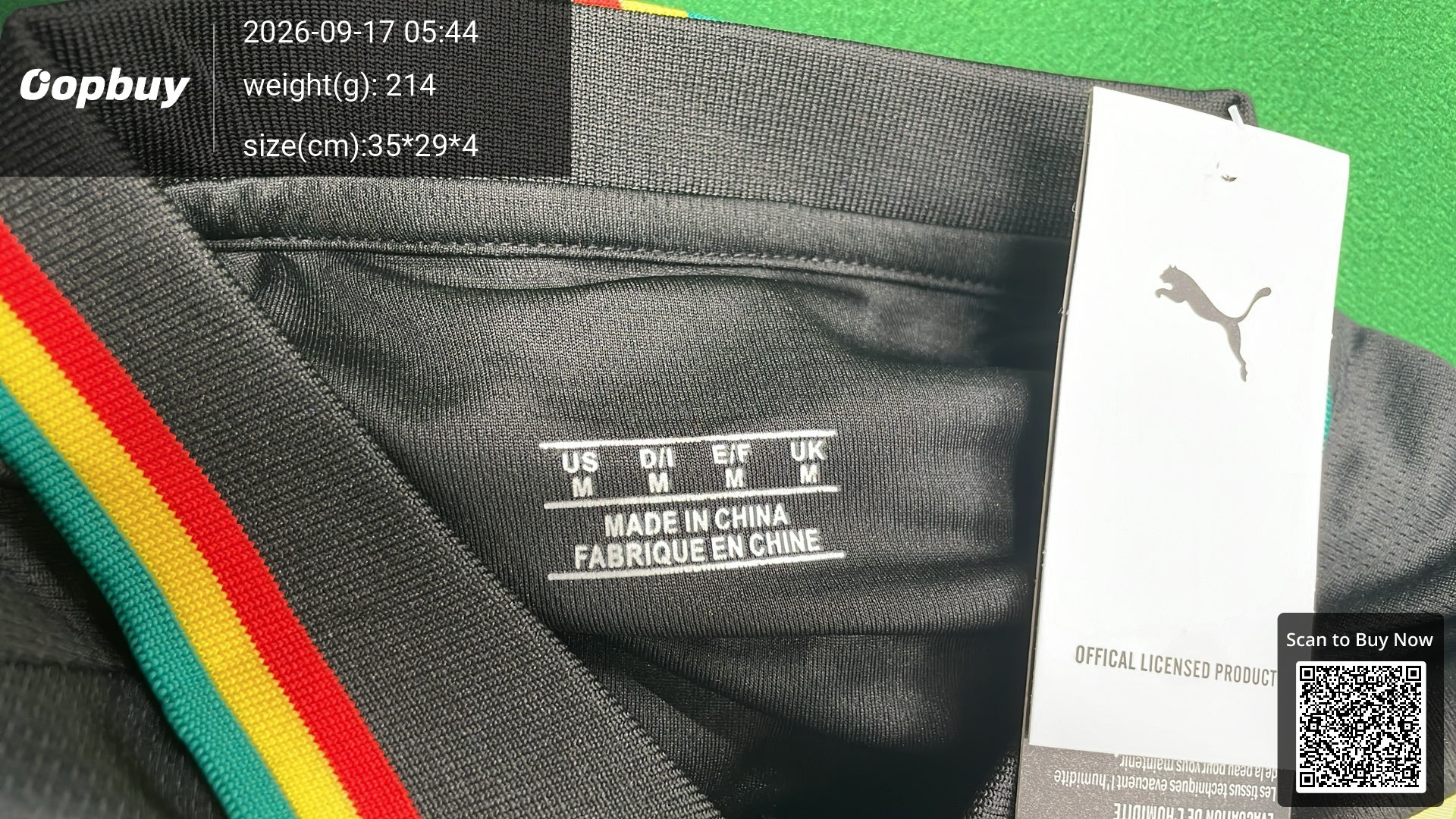 Foto QC 1 de Nike x Nigeria 2026 Home Jersey Pine Green/Electric Green/White