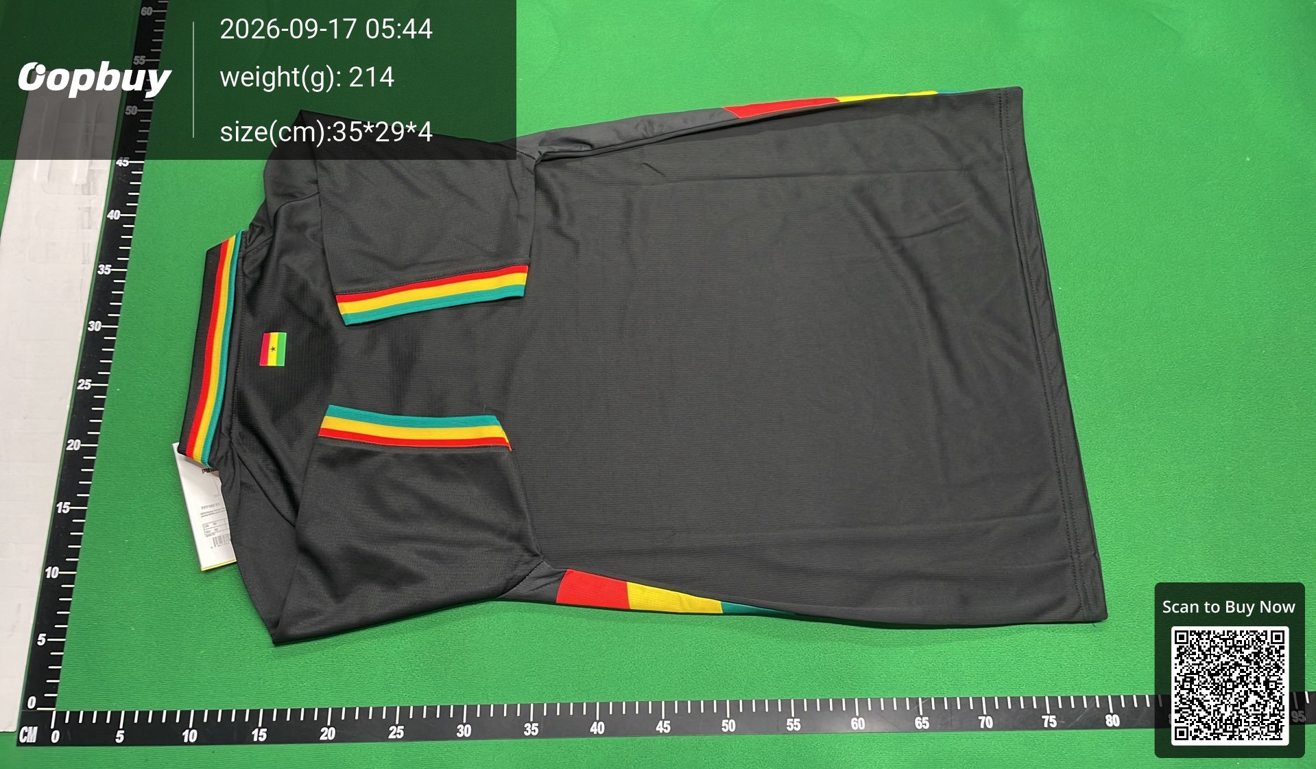 Foto QC 3 de Nike x Nigeria 2026 Home Jersey Pine Green/Electric Green/White