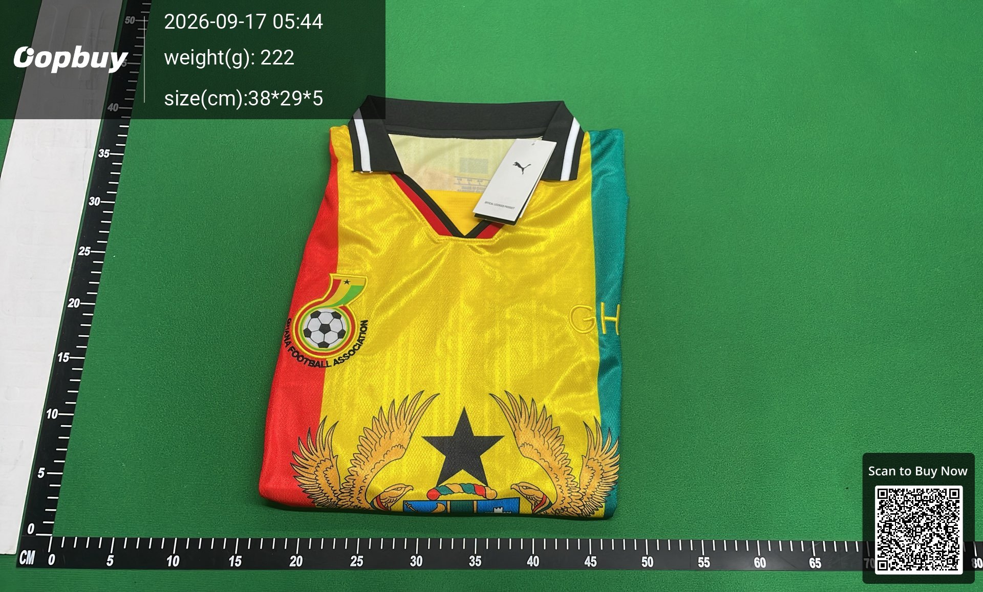 Foto QC 8 de Nike x Nigeria 2026 Home Jersey Pine Green/Electric Green/White