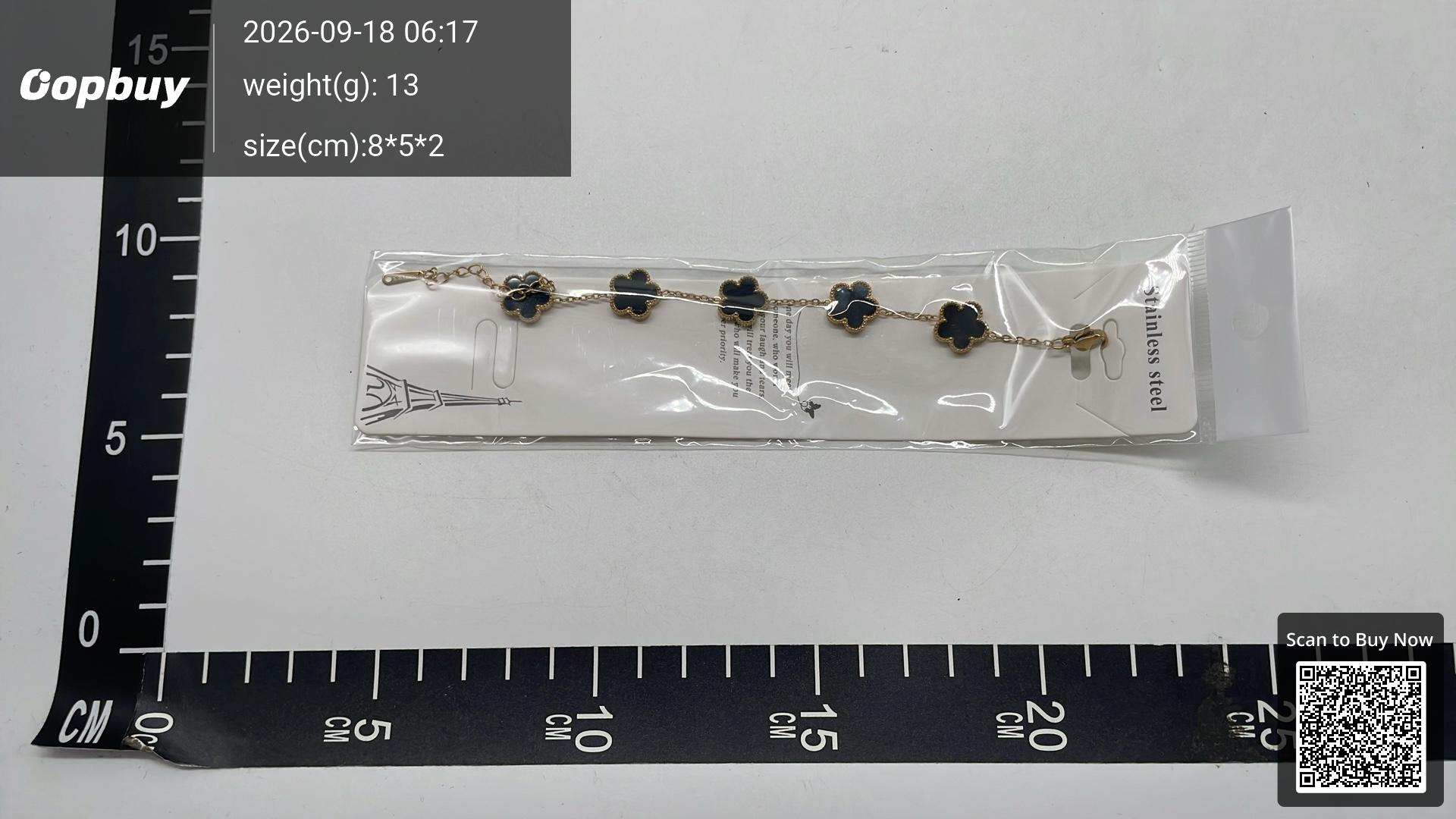 Foto QC 5 de Other Bracelet Titanium Steel Blue