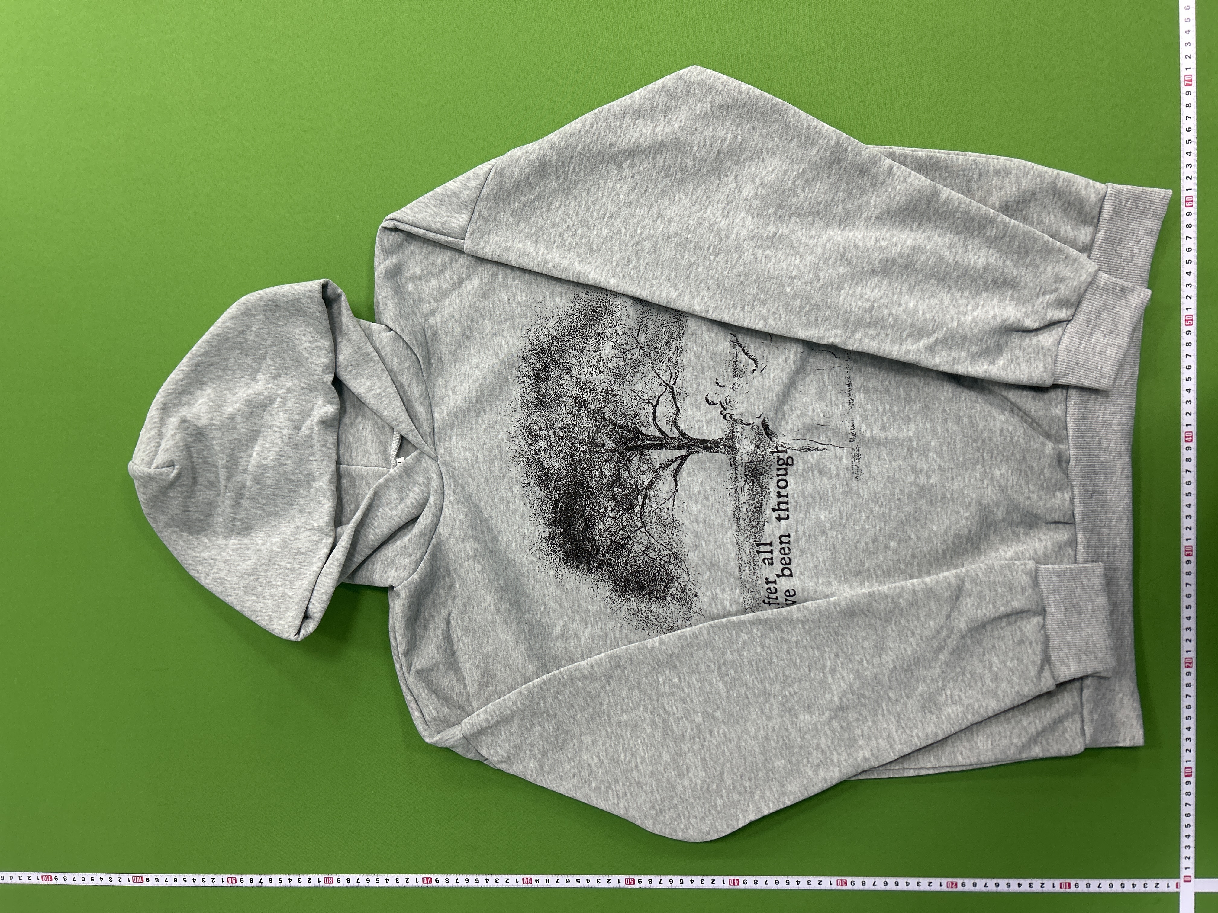 Foto QC 3 de Other Hoodie Tree Graphic After All Print Washed Grey