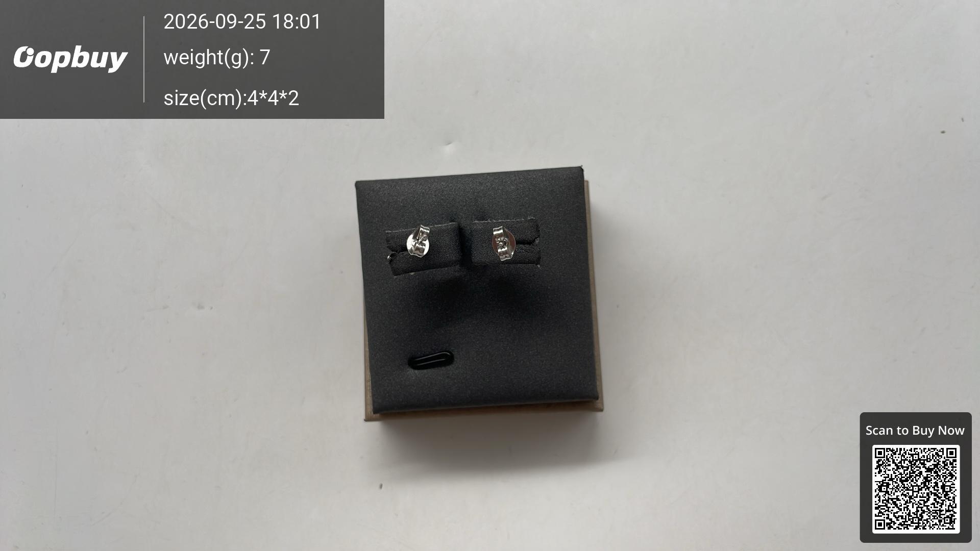 Foto QC 2 de Louis Vuitton Stud Earrings Metal Strass Silver