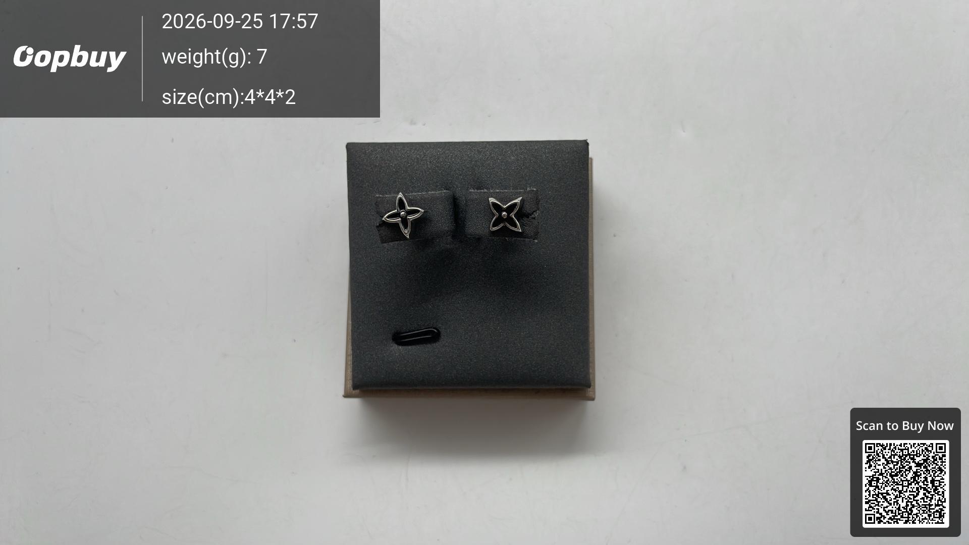 Foto QC 4 de Louis Vuitton Stud Earrings Metal Strass Silver