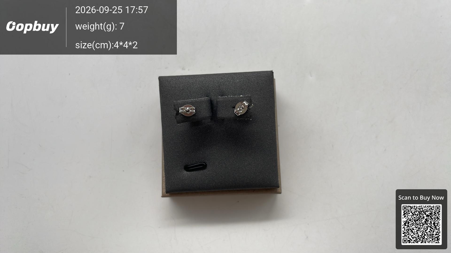 Foto QC 5 de Louis Vuitton Stud Earrings Metal Strass Silver