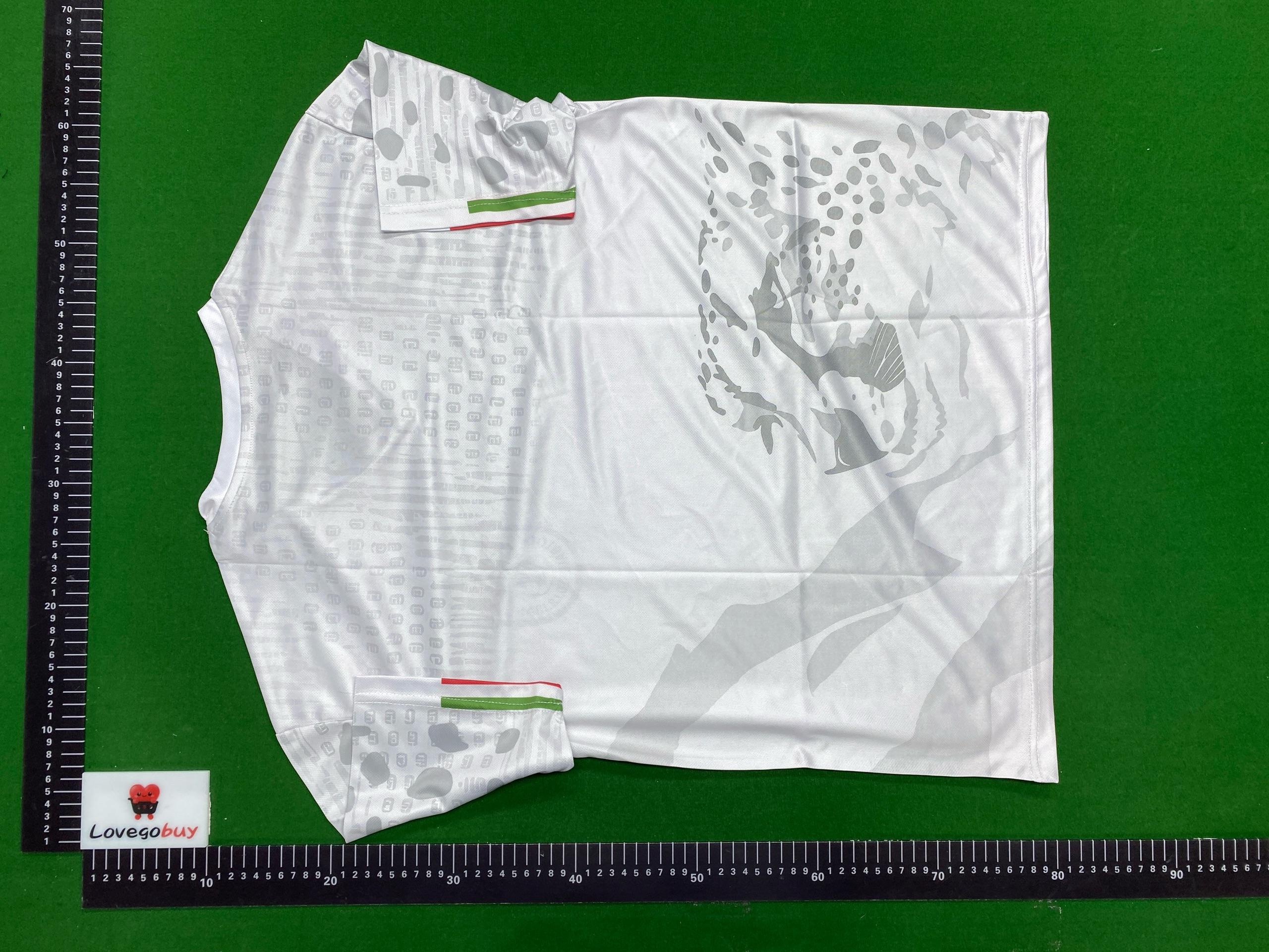 Foto QC 1 de Nike x Poland 2026 Home Authentic Jersey White