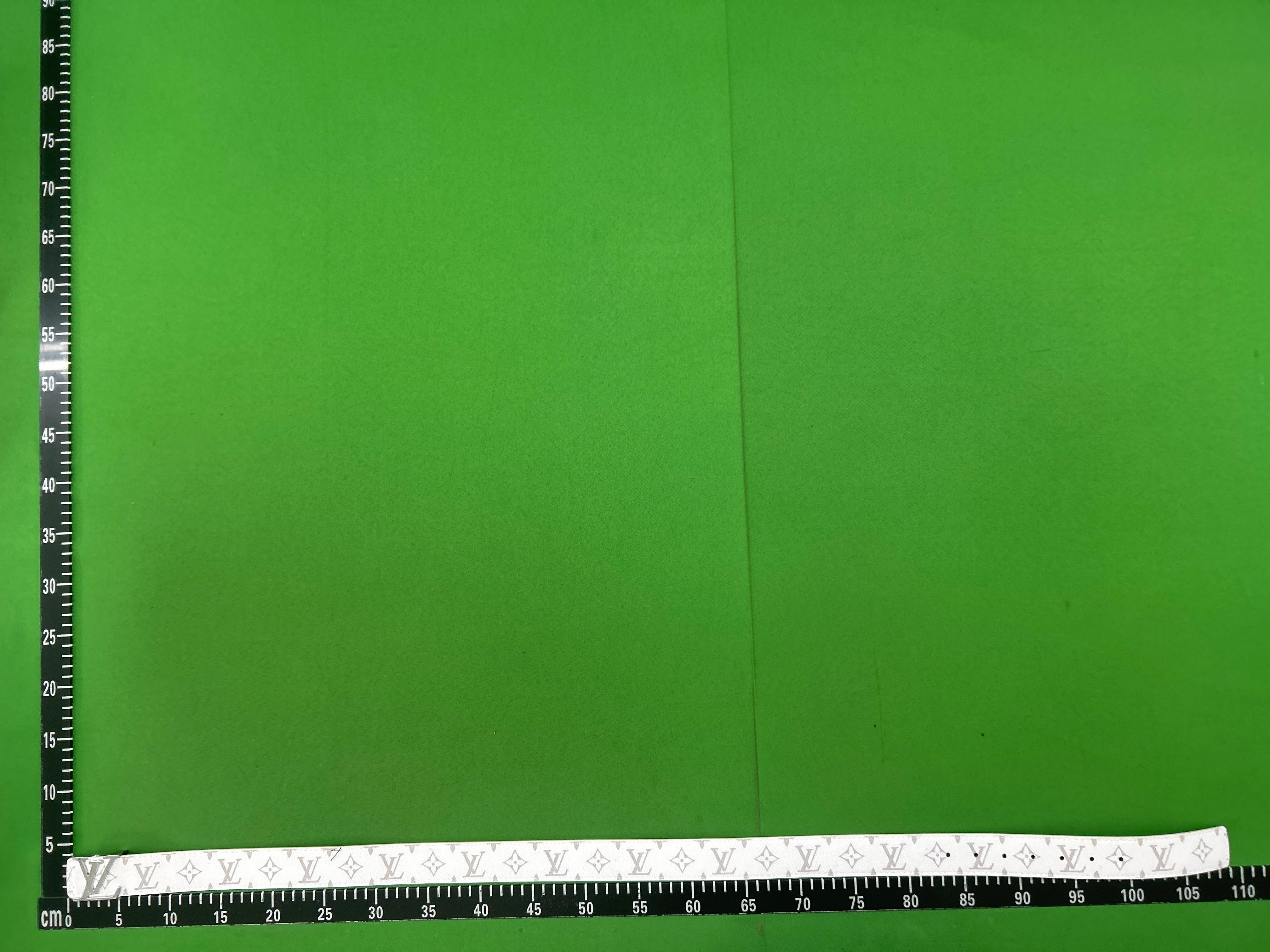 Foto QC 5 de Louis Vuitton LV Initiales Belt Monogram Watercolor