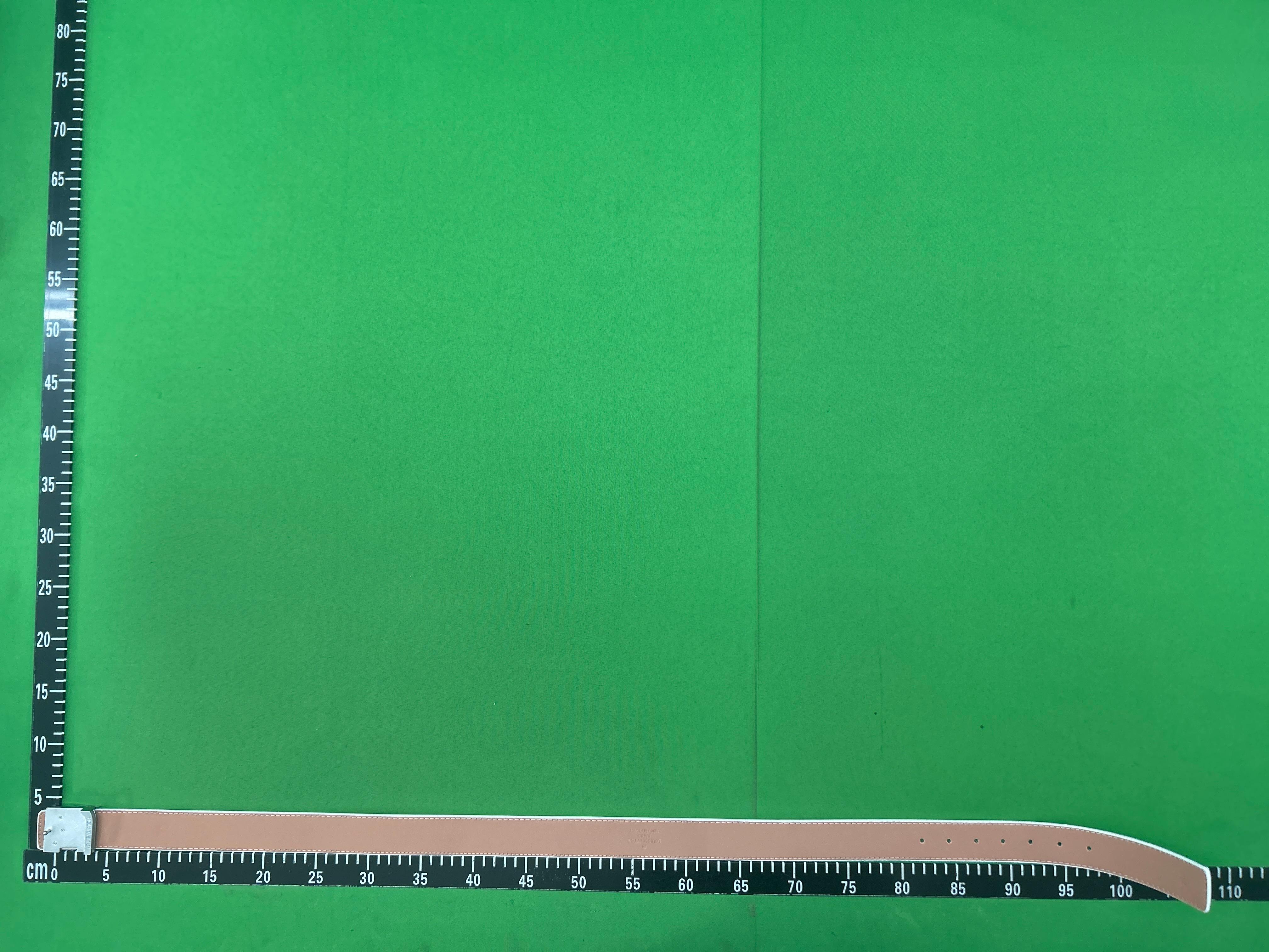 Foto QC 4 de Louis Vuitton LV Initiales Belt Monogram Watercolor