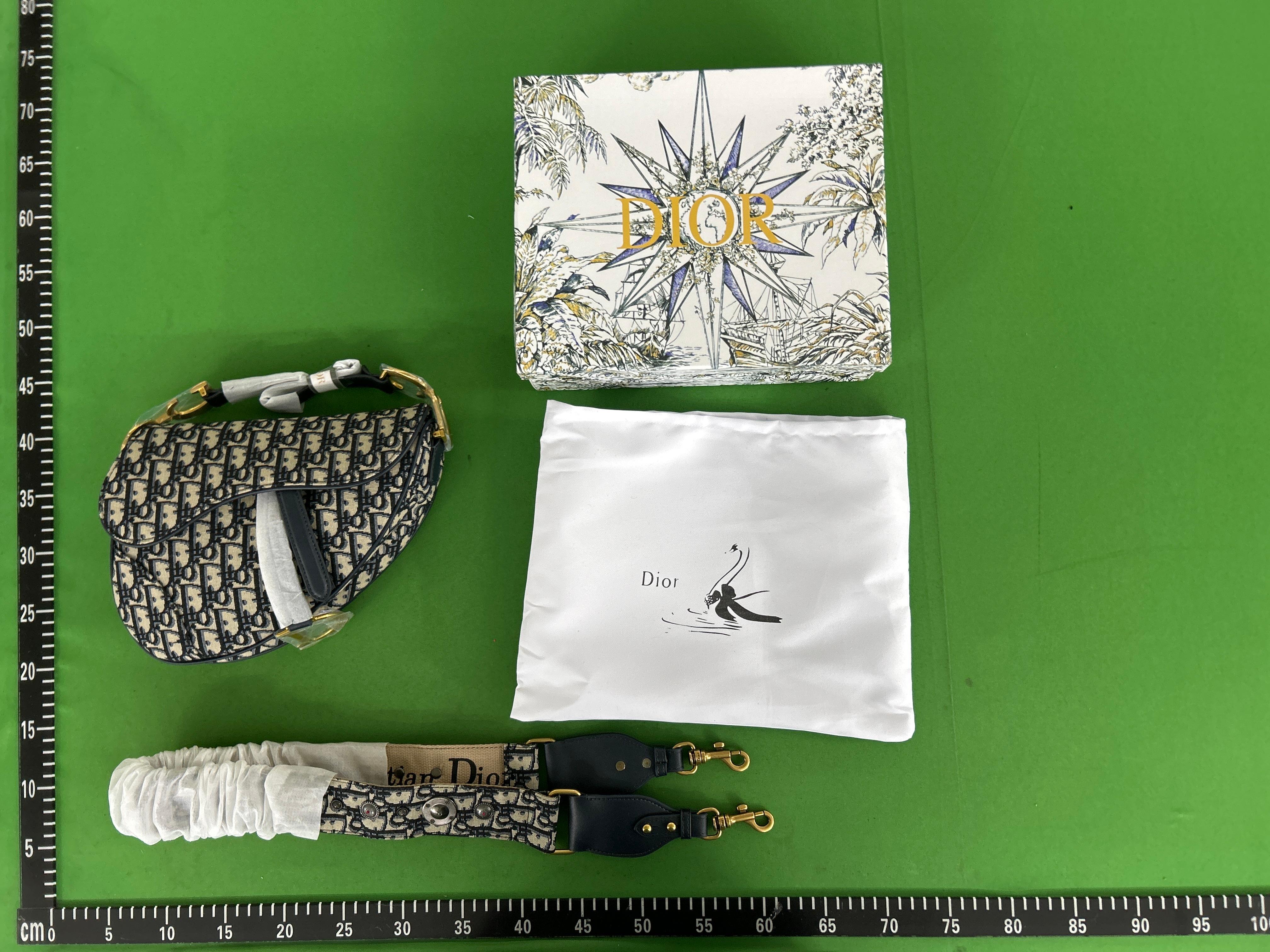 Foto QC 8 de Dior Saddle Oblique Canvas