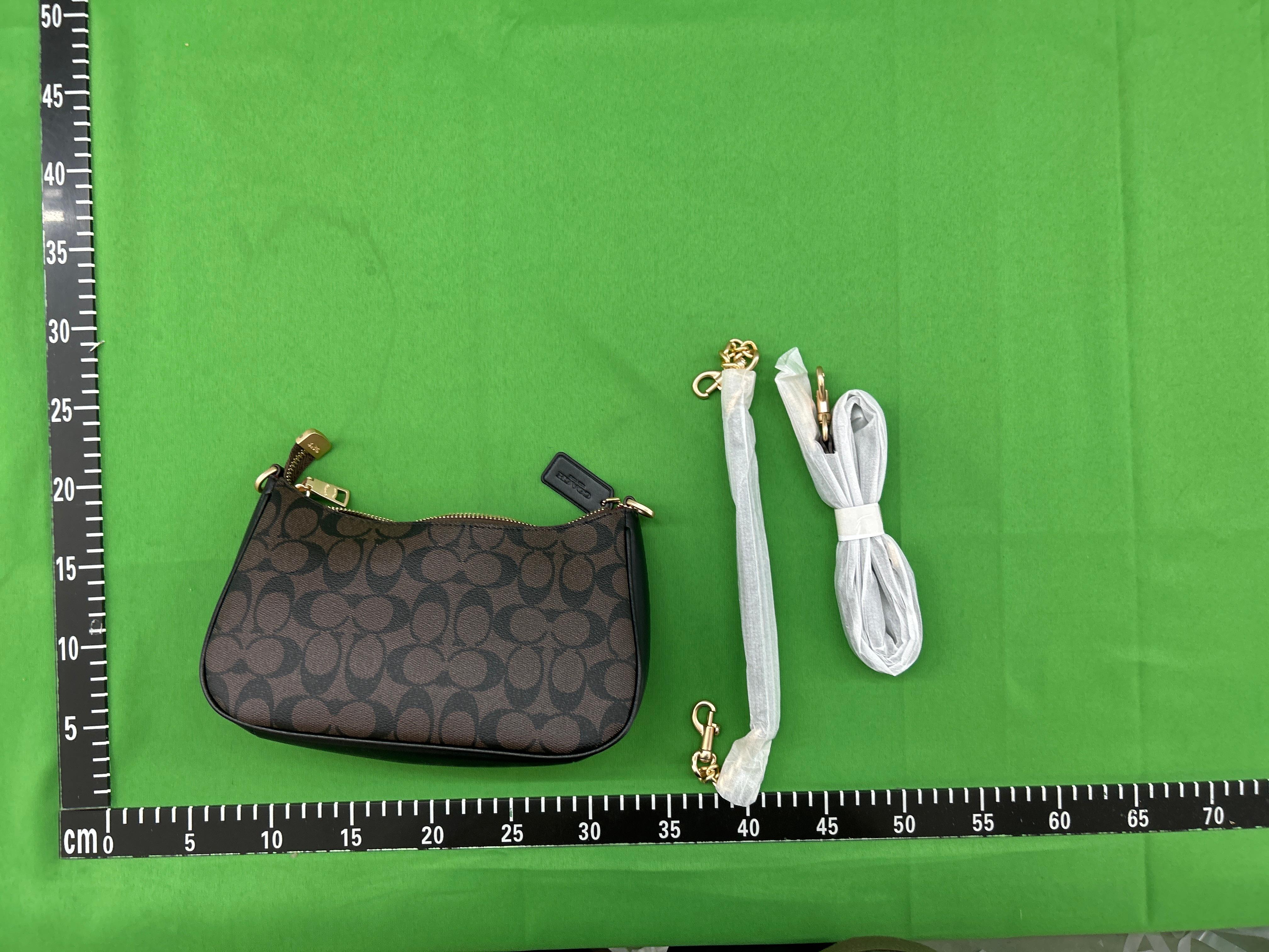 Foto QC 4 de Coach x Peanuts Teri Shoulder Bag Signature Canvas Snoopy Print