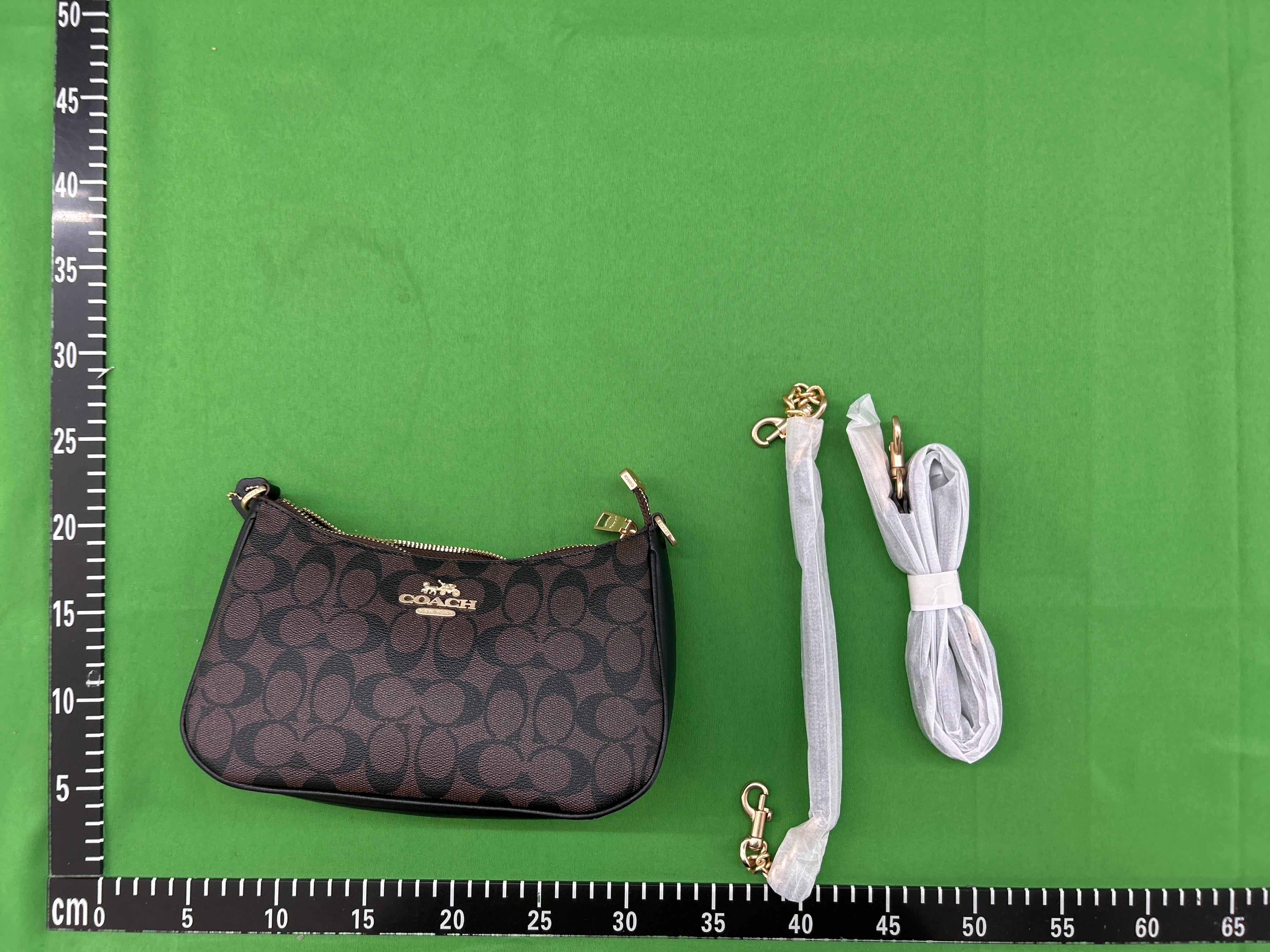 Foto QC 3 de Coach x Peanuts Teri Shoulder Bag Signature Canvas Snoopy Print