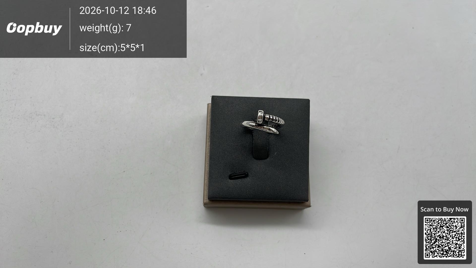 Foto QC 8 de Chrome Hearts Eternity Vine Ring Silver Silver