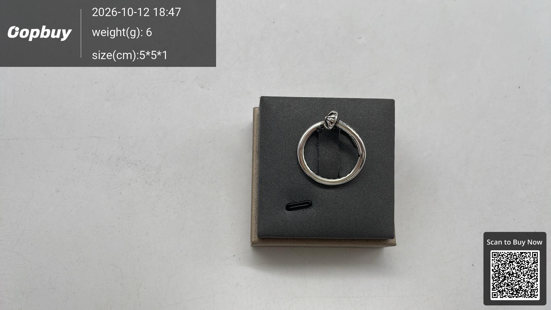 Foto QC 4 de Chrome Hearts Eternity Vine Ring Silver Silver