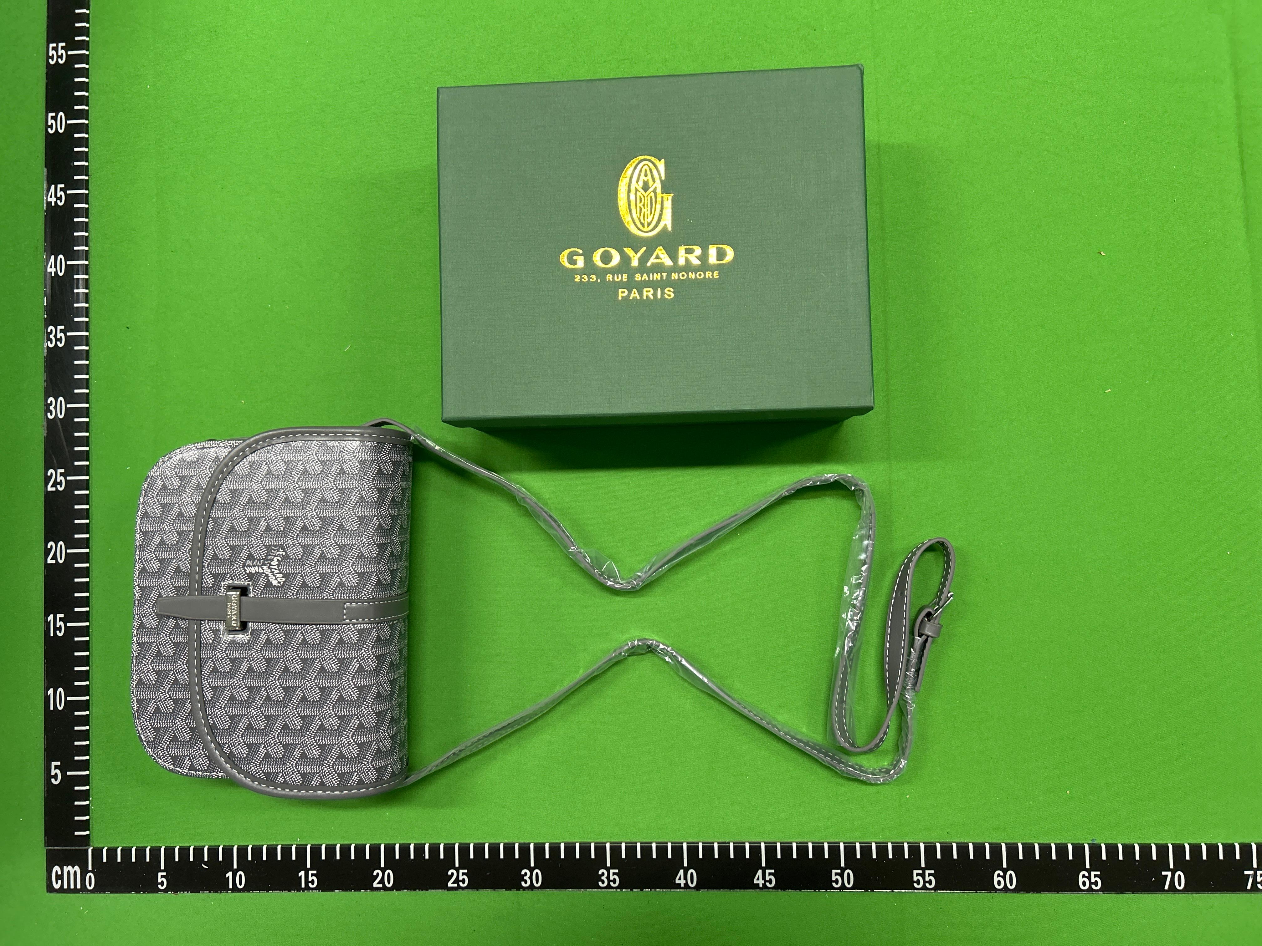 Foto QC 1 de Goyard Belvédère PM Sky Blue Goyardine Canvas