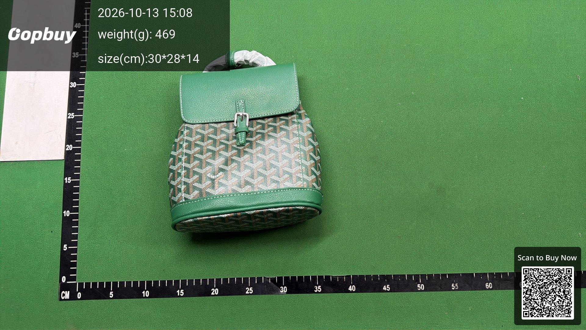 Foto QC 3 de Goyard Alpin Backpack Mini Black Goyardine Canvas