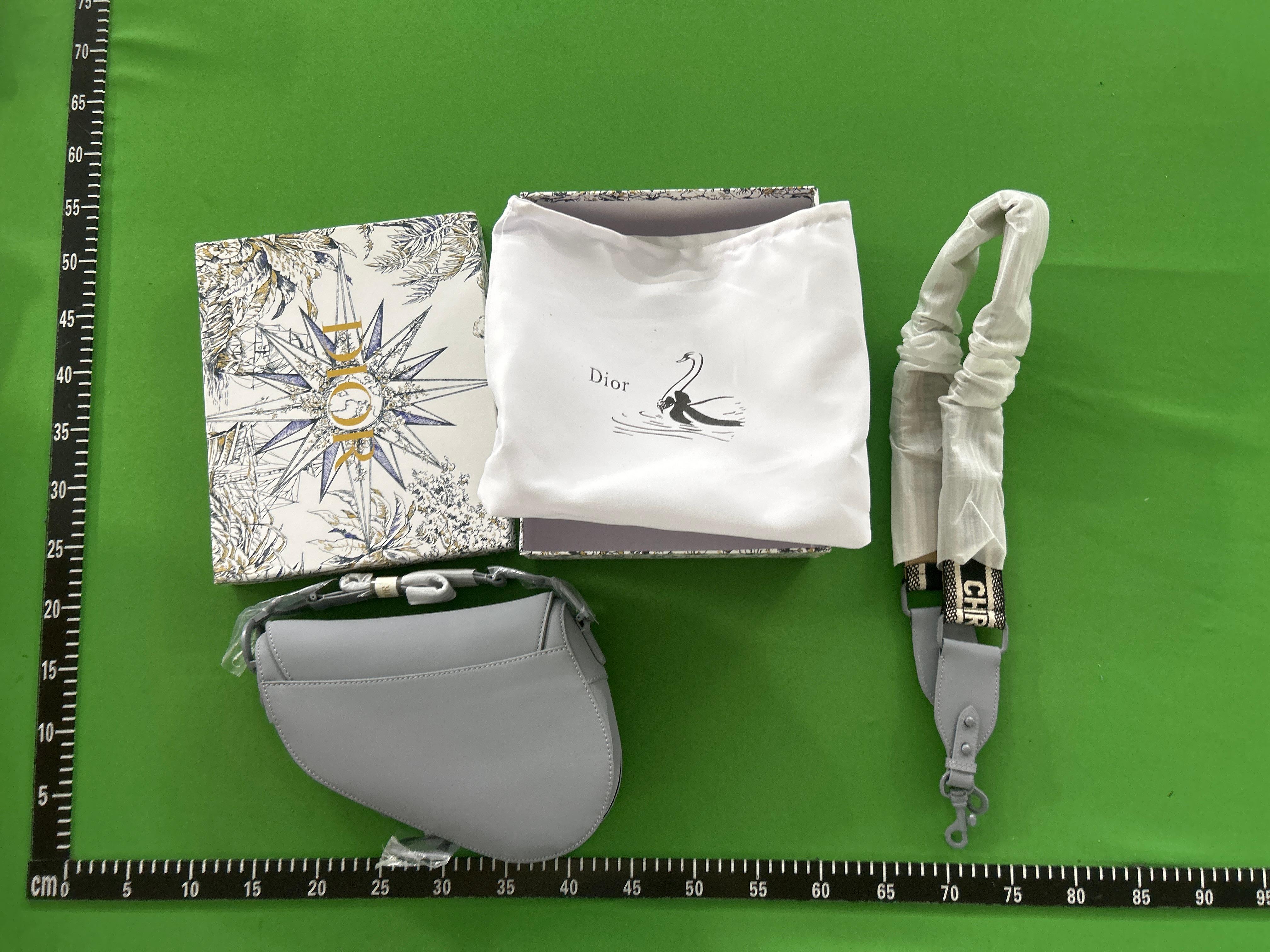 Foto QC 7 de Dior Saddle Oblique Canvas