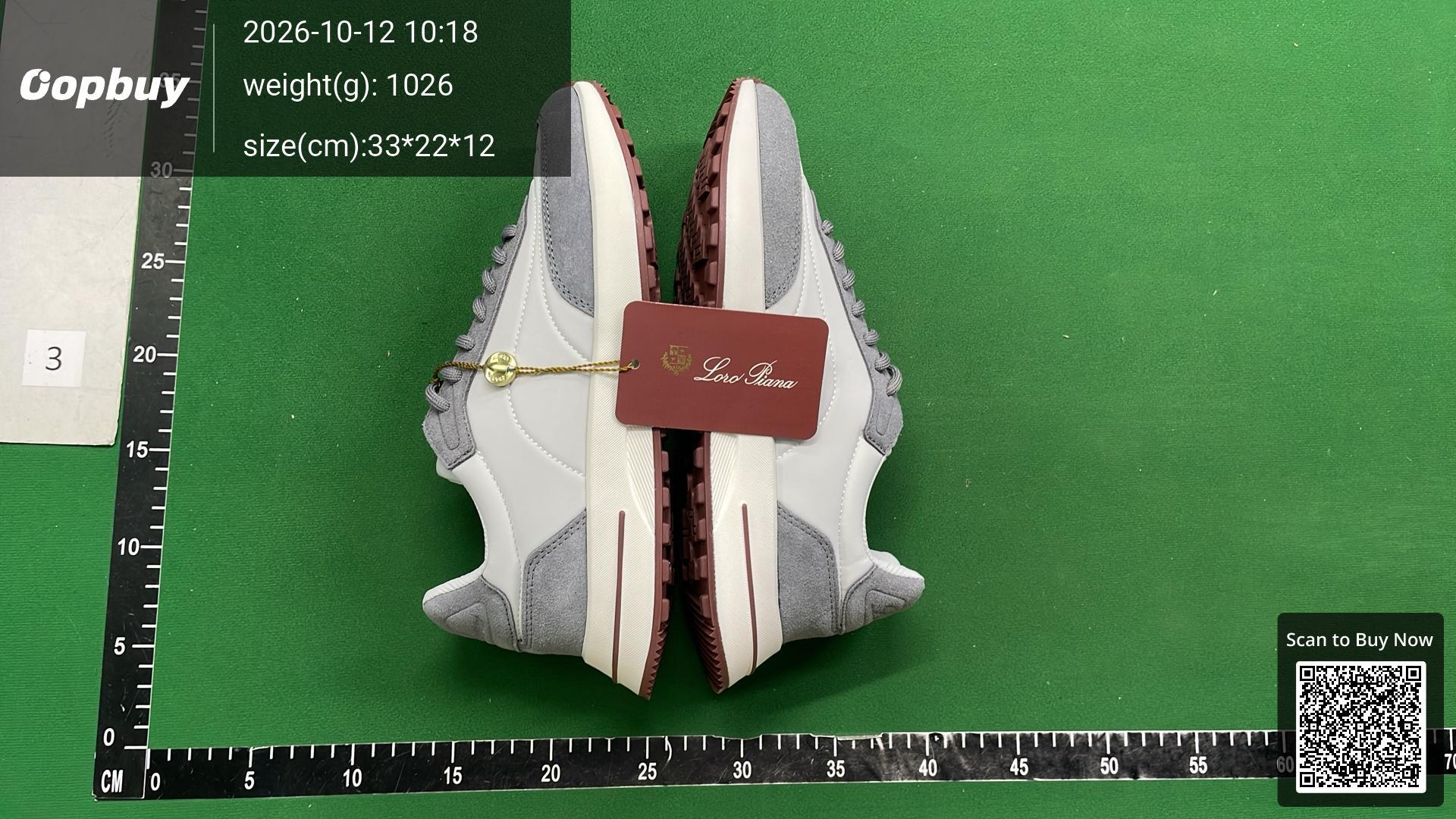 Foto QC 5 de Loro Piana 360LP Flexy Walk Wish FAM1719