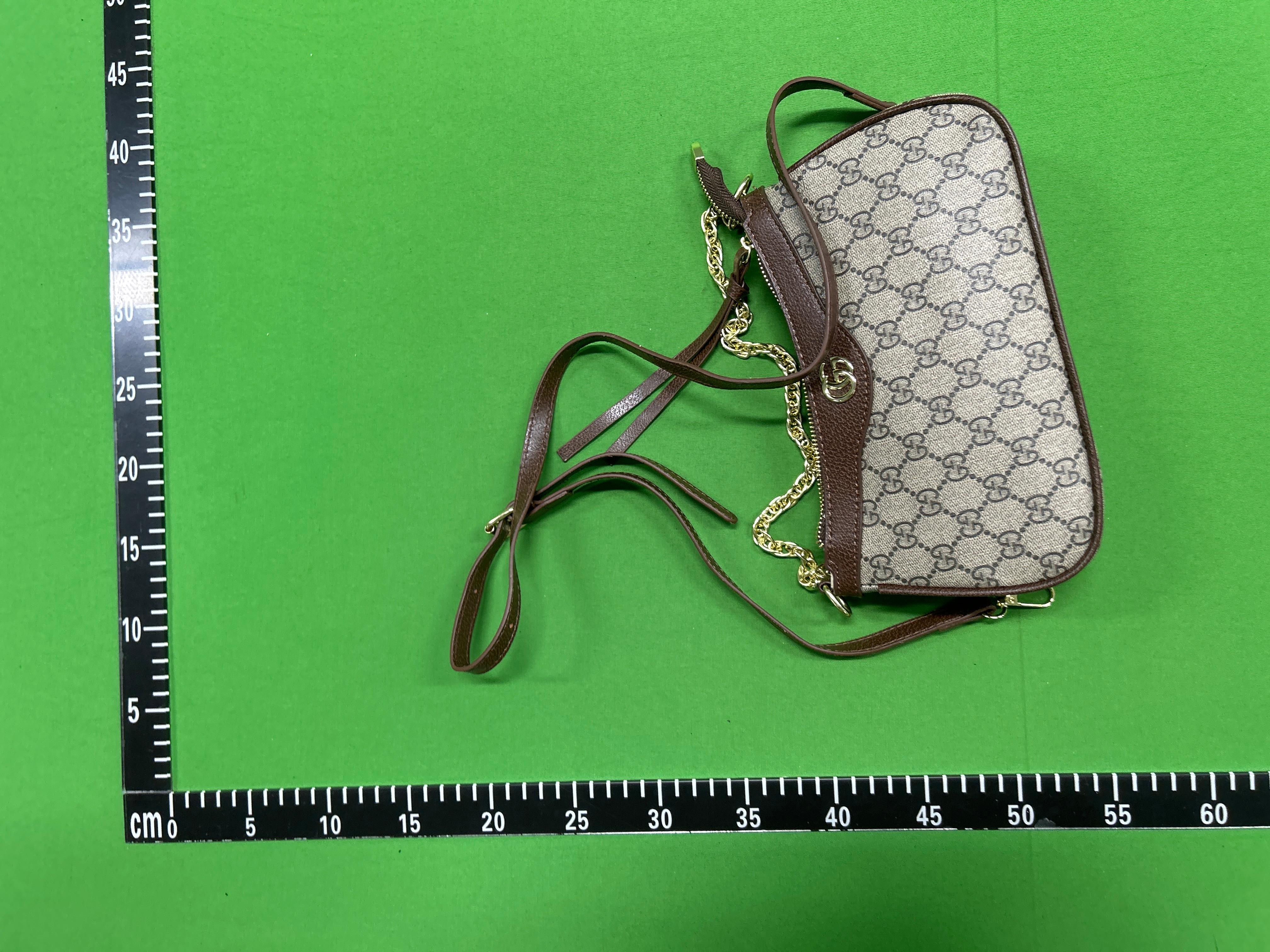 Foto QC 2 de Gucci Ophidia Mini GG Supreme Canvas White