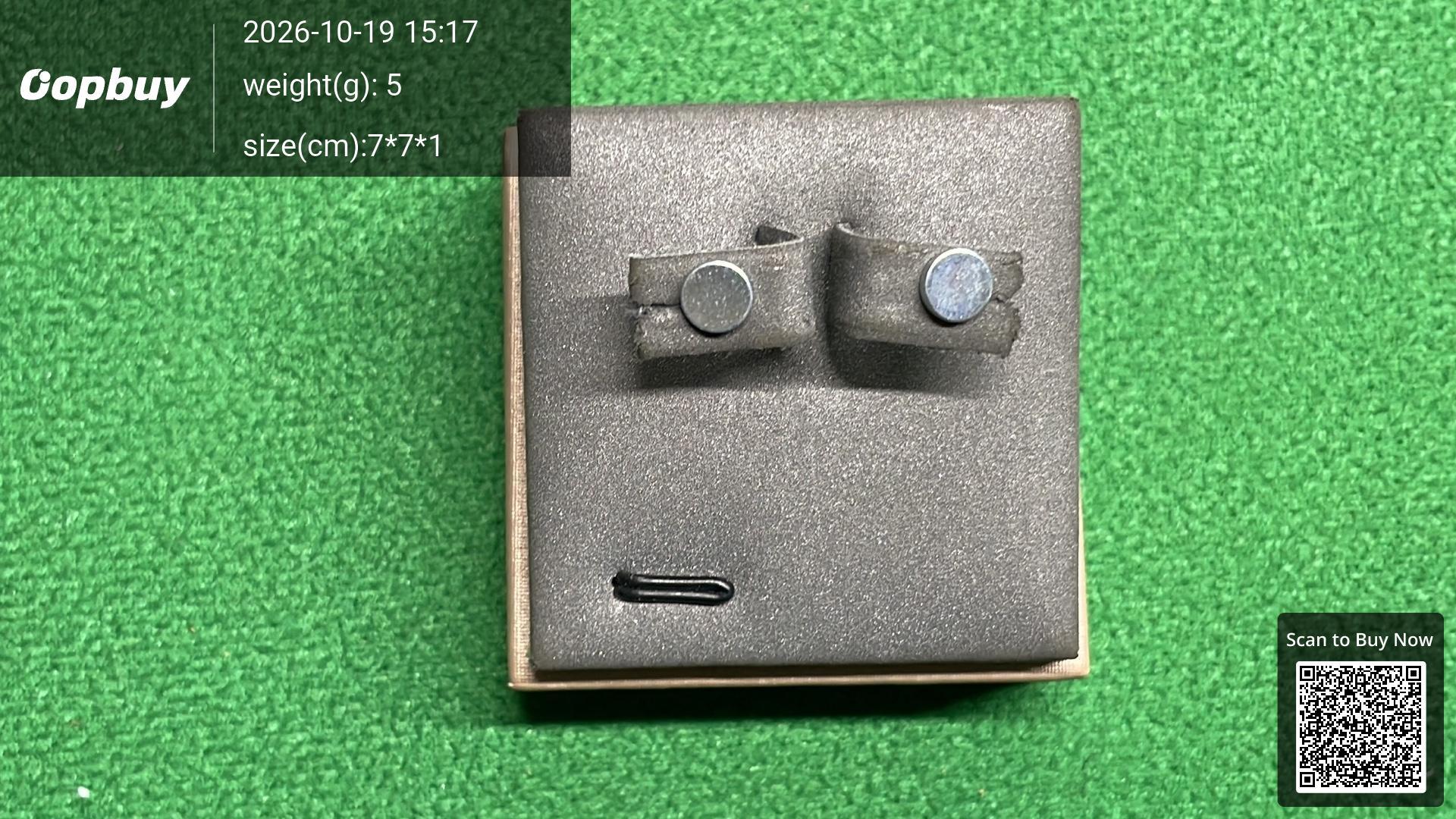 Foto QC 7 de Other Magnetic Earrings Metal Zircon Silver
