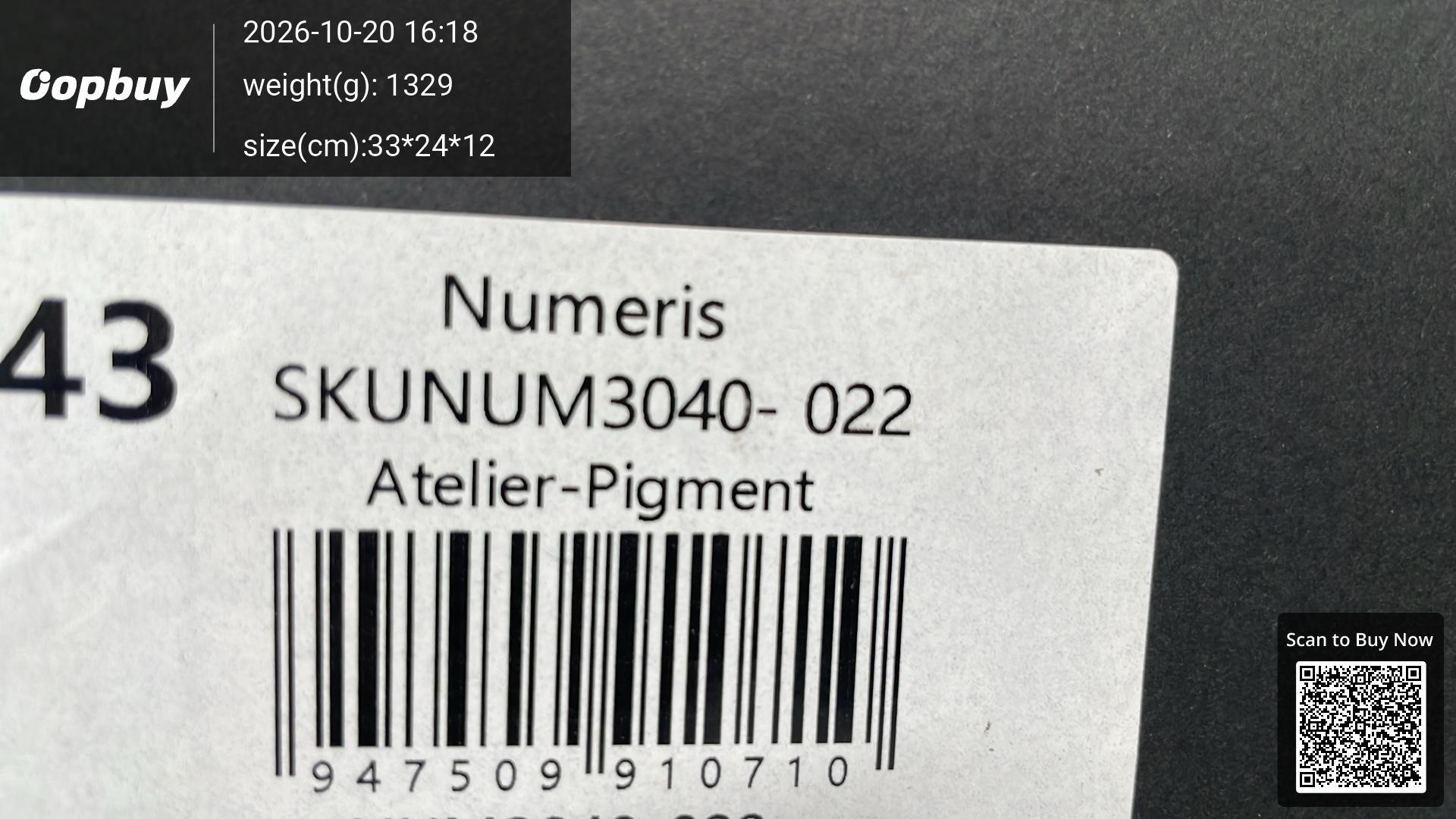 Foto QC 8 de Numeris Skate Shoe Low Grey White