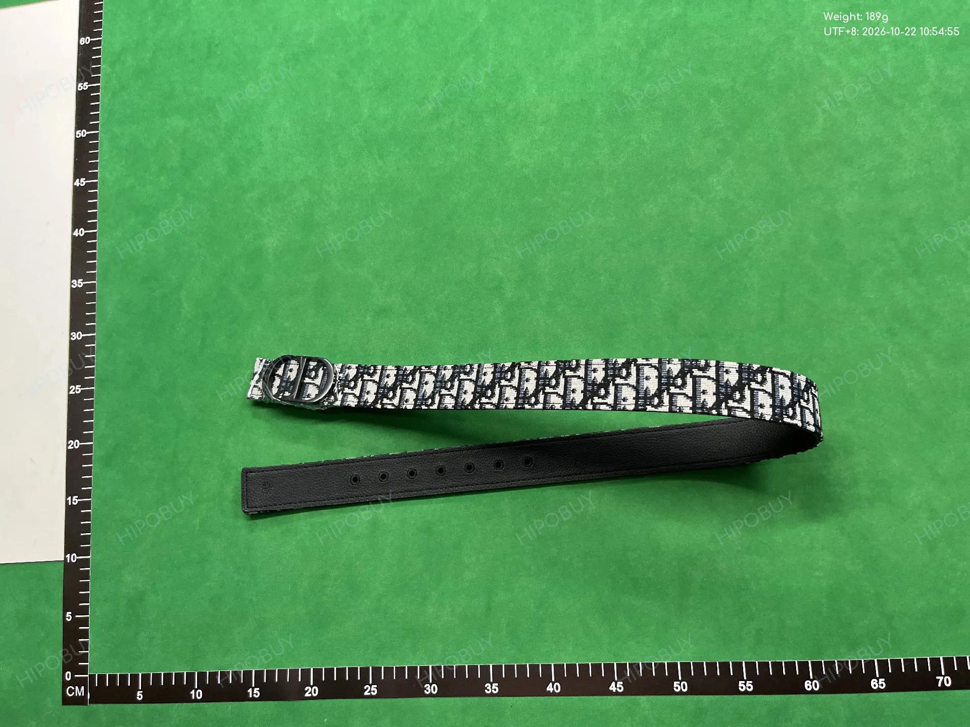 Foto QC 5 de Dior CD Icon Belt Blue Dior Oblique Jacquard