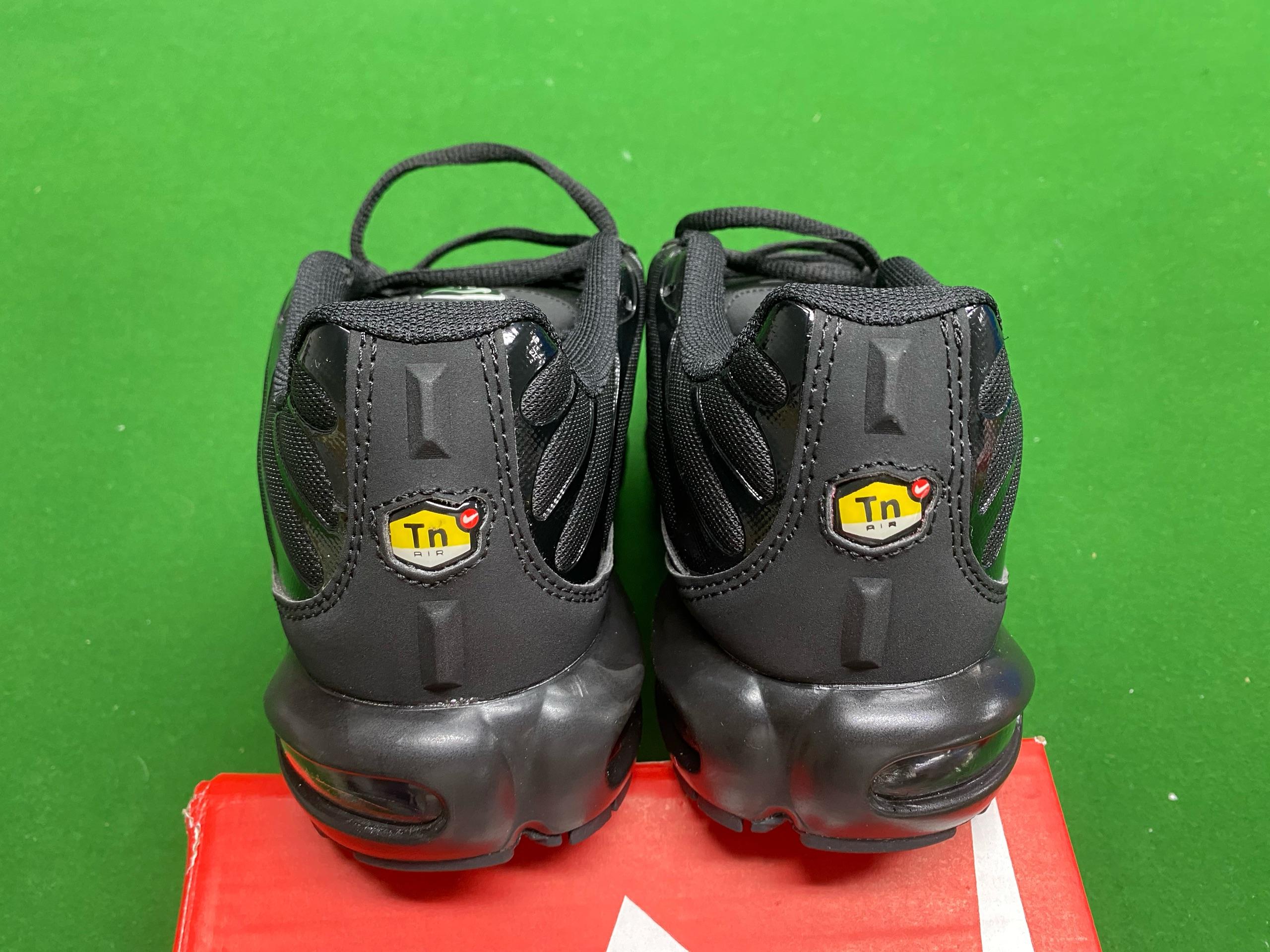 Foto QC 2 de Nike Air Max Plus TN Blue Gradient CD0601-002