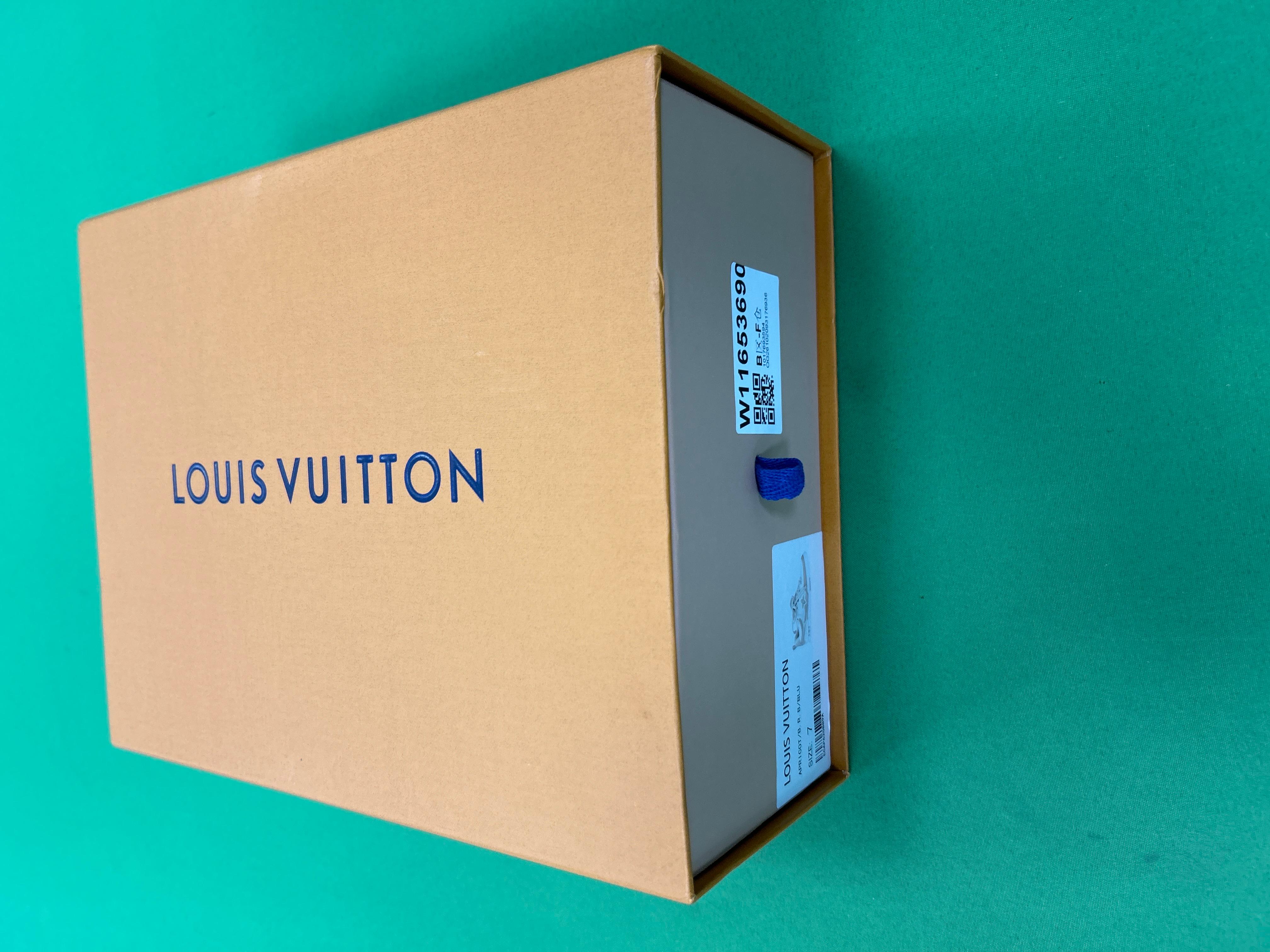 Foto QC 6 de Louis Vuitton LV Skate Sneaker Grained Calf Leather Triple Black 1ADG87