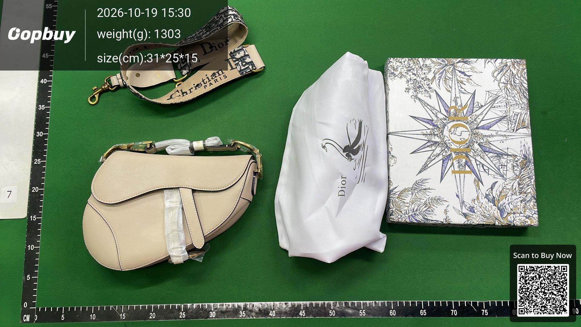 Foto QC 5 de Dior Saddle Oblique Canvas
