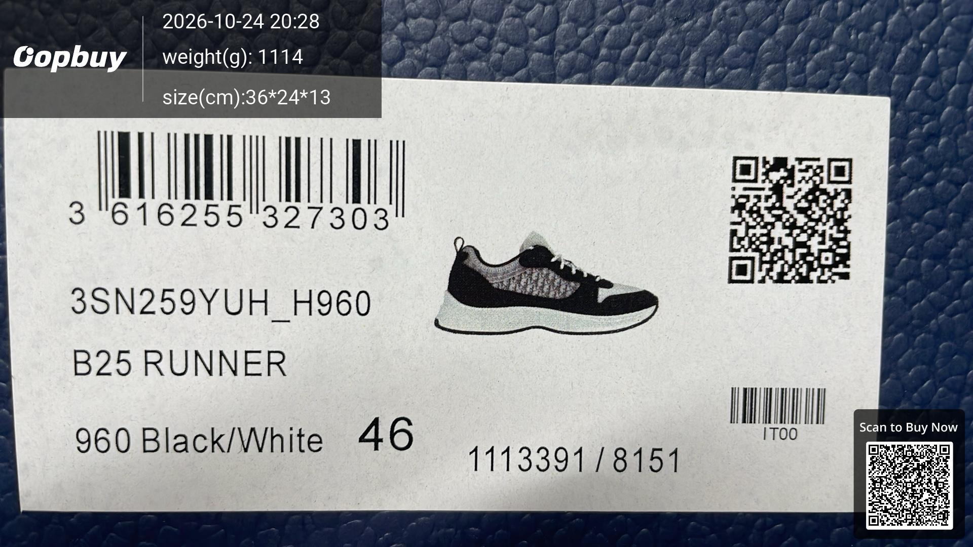 Foto QC 2 de Dior B25 Low Oblique Black White