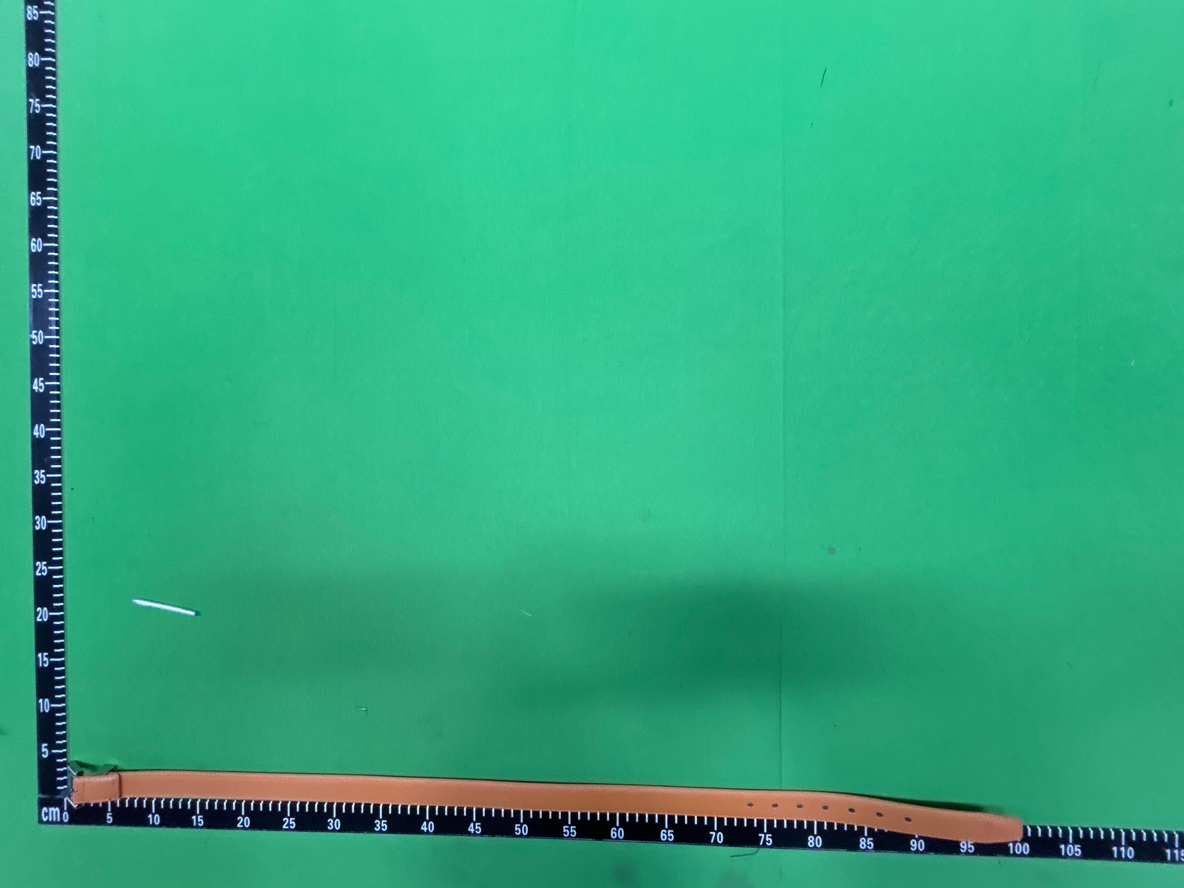 Foto QC 3 de Saint Laurent Cassandre Belt White