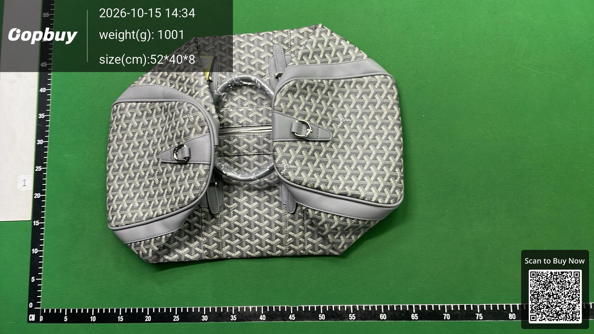Foto QC 8 de Goyard Travel Bag Green Goyardine Canvas